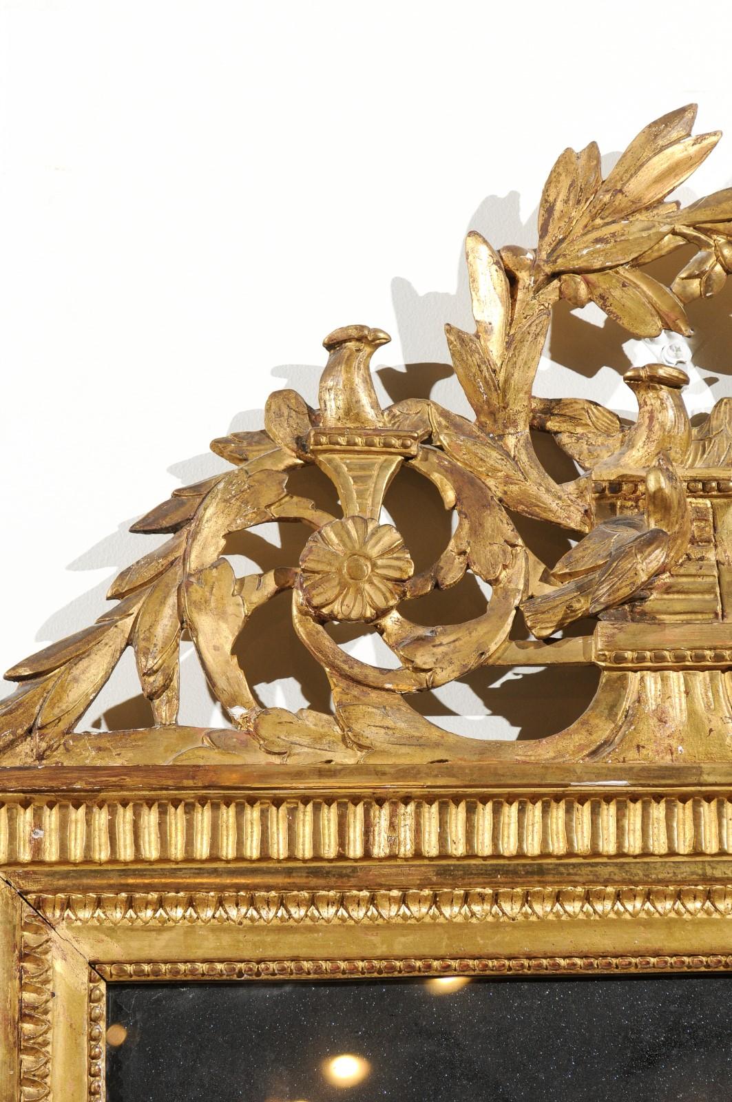 An Italian giltwood crested mirror from the 19th century, with carved birds and olive tree wreath. Born in Italy during the 19th century, this exquisite wall mirror attracts our attention with its gilded tones and skillfully carved crest. Handsome