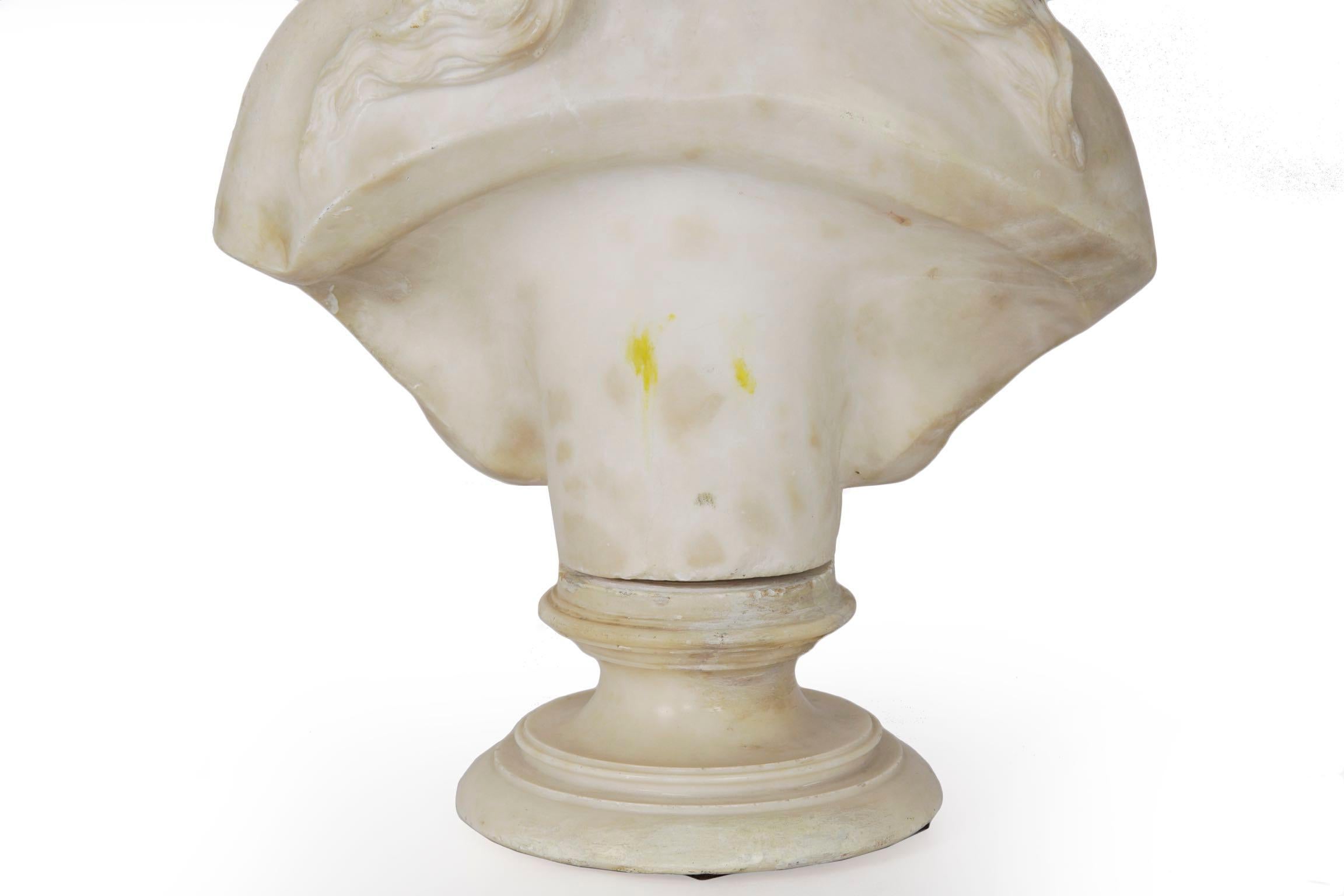 Italian 19th Century Grand Tour Marble Bust of Capitoline Venus 10