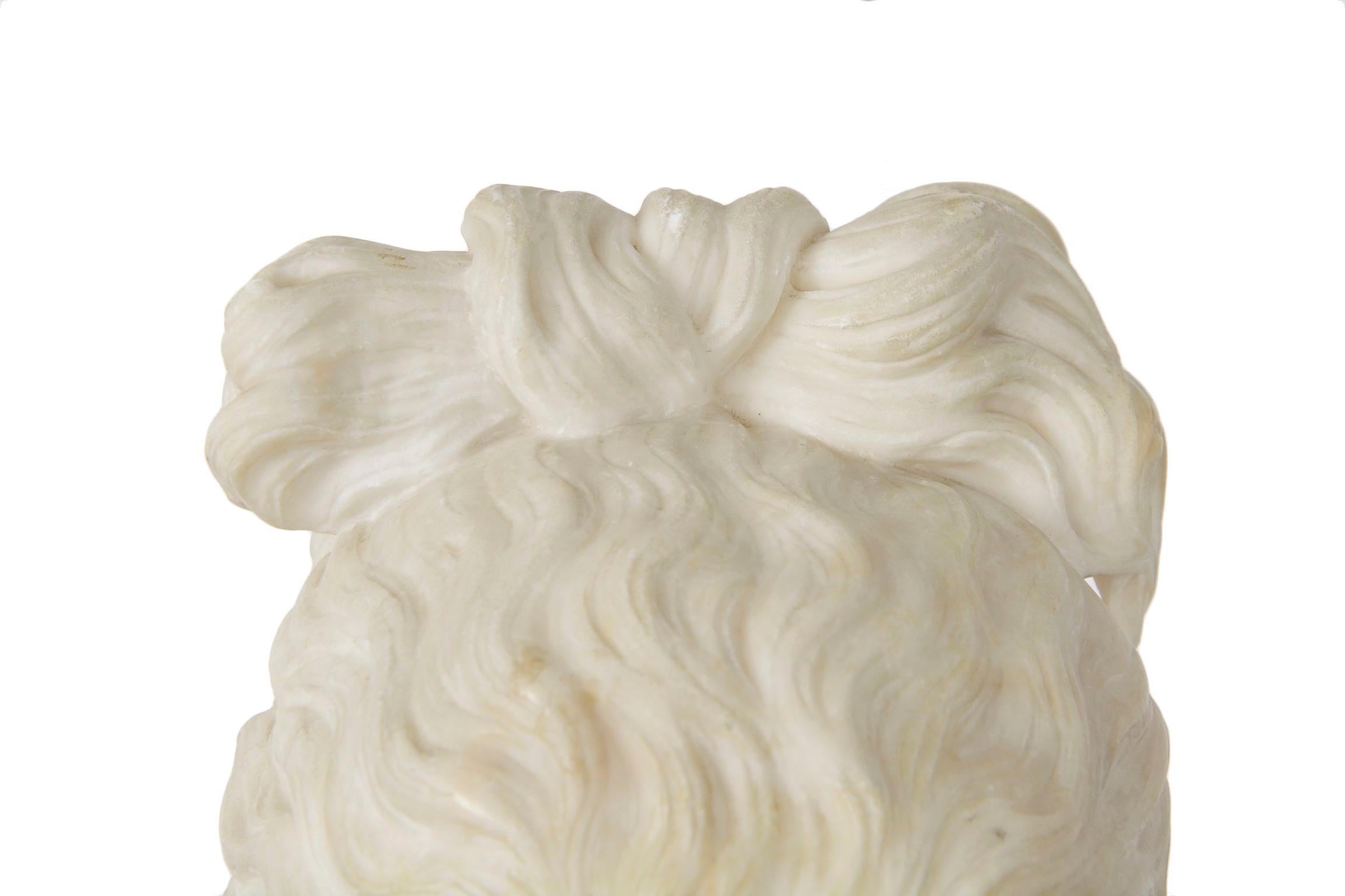 Italian 19th Century Grand Tour Marble Bust of Capitoline Venus 11