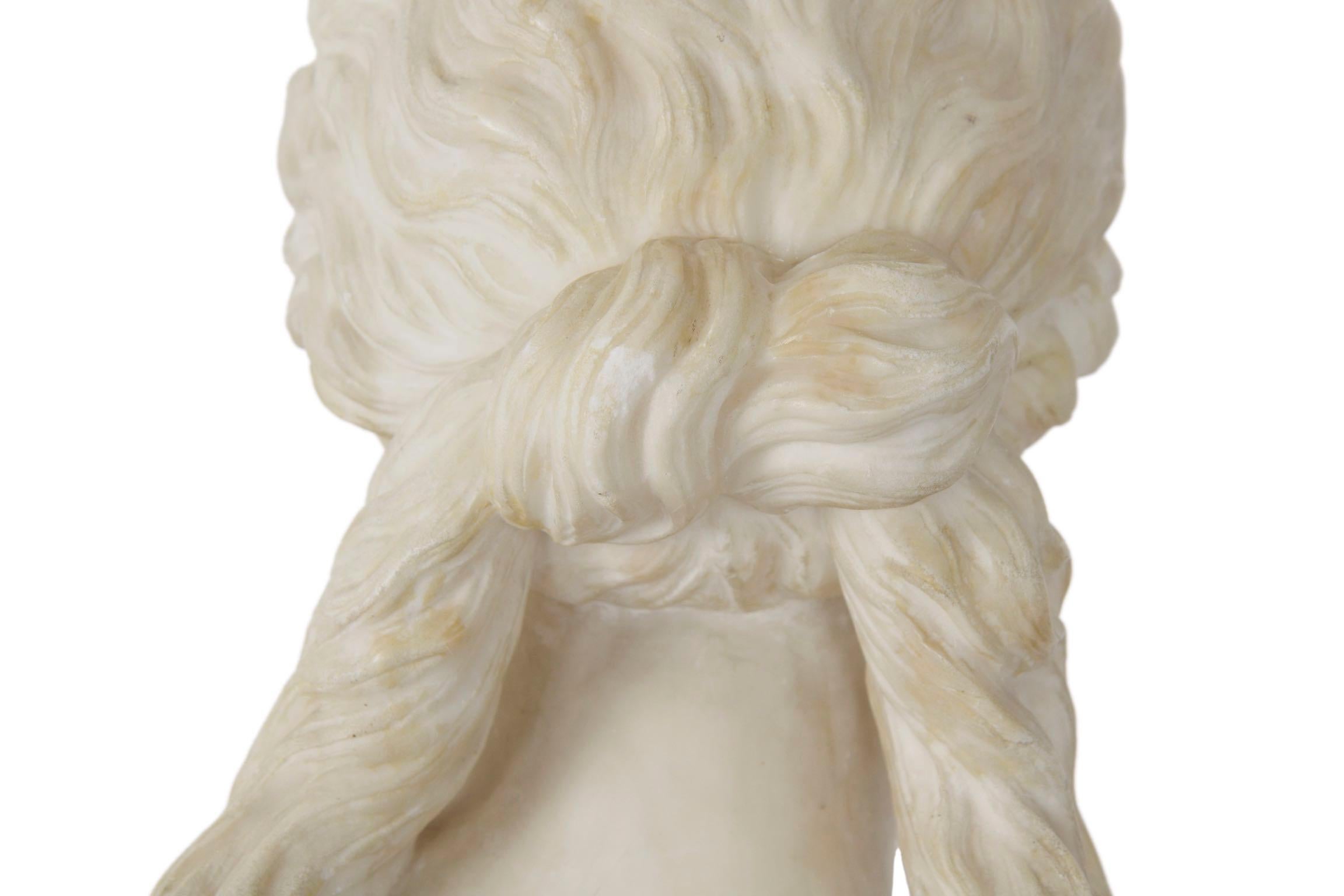 Italian 19th Century Grand Tour Marble Bust of Capitoline Venus 12