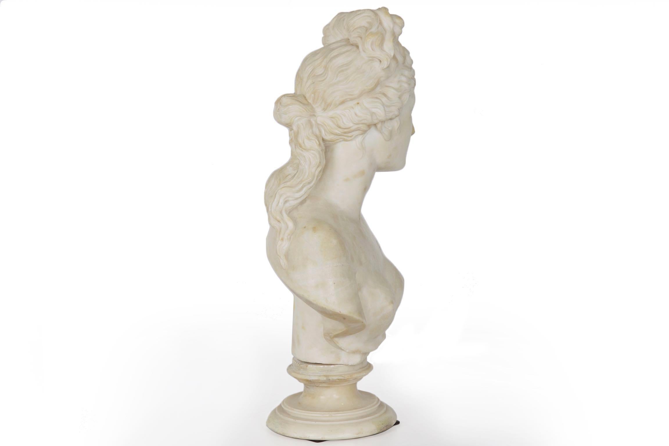 Italian 19th Century Grand Tour Marble Bust of Capitoline Venus 13