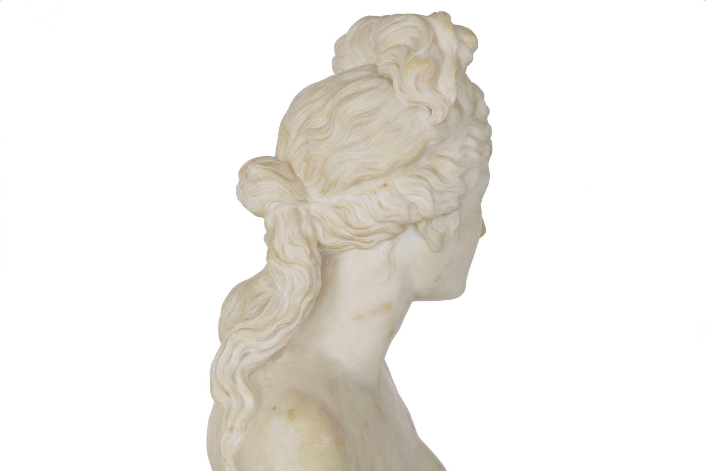 Italian 19th Century Grand Tour Marble Bust of Capitoline Venus 14