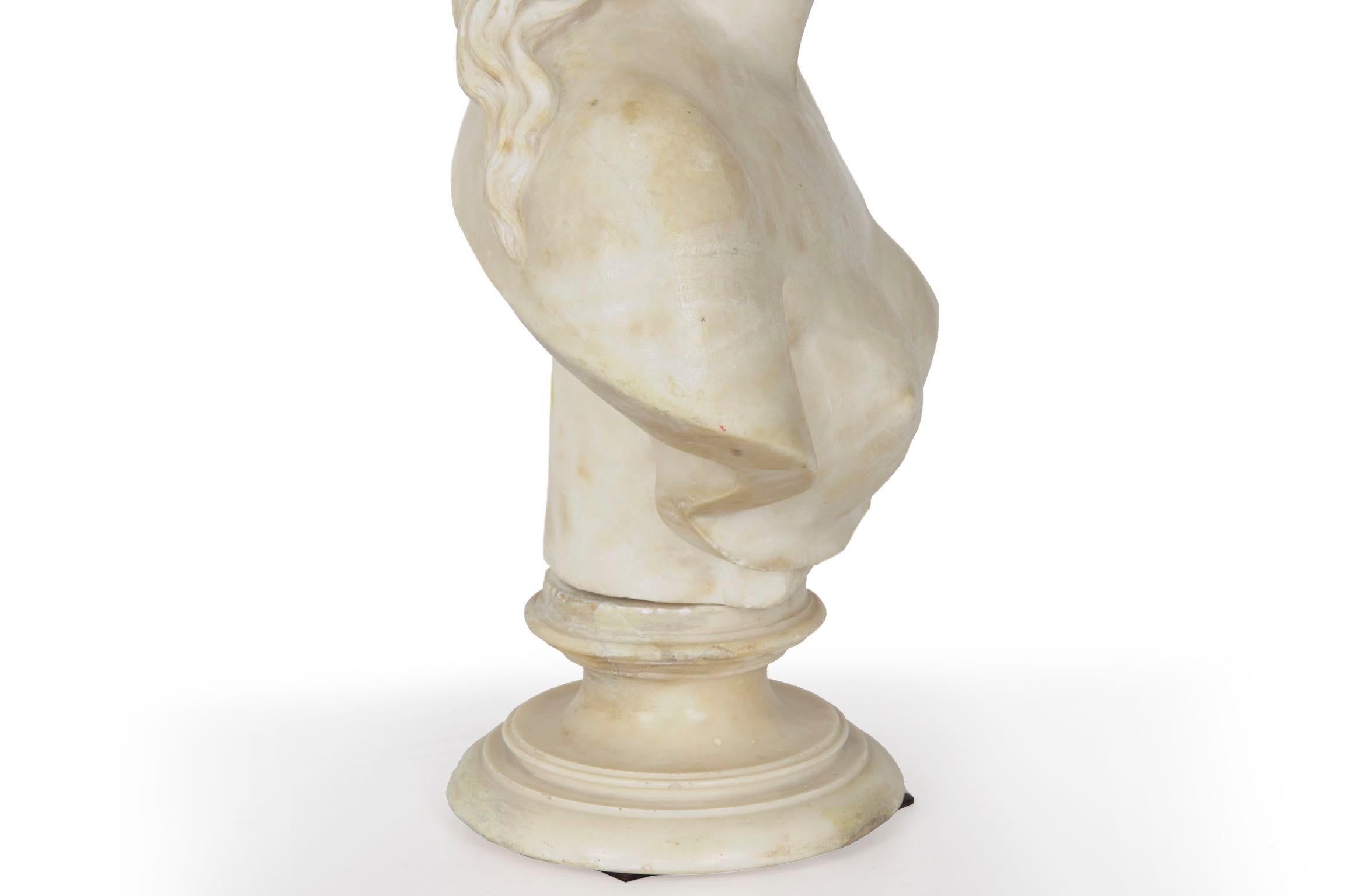 Italian 19th Century Grand Tour Marble Bust of Capitoline Venus 15