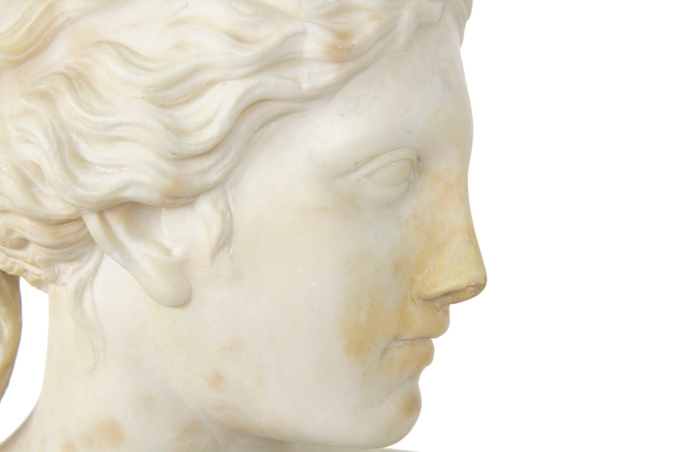 Italian 19th Century Grand Tour Marble Bust of Capitoline Venus 17