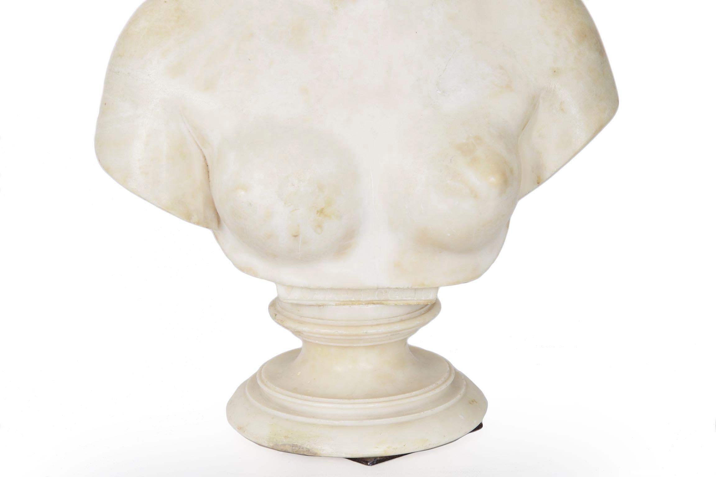Italian 19th Century Grand Tour Marble Bust of Capitoline Venus In Good Condition In Shippensburg, PA