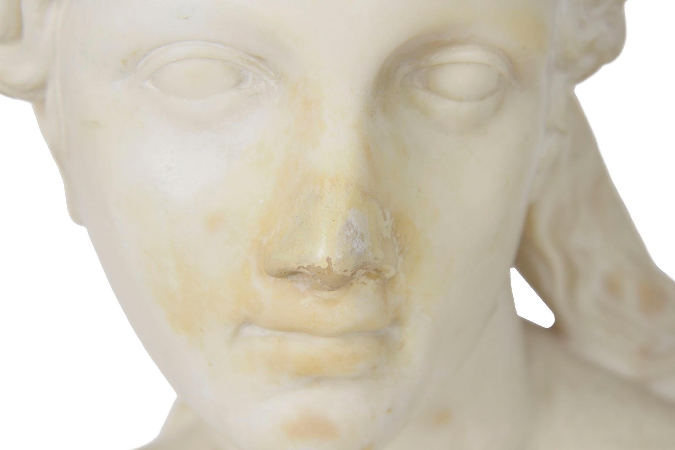 Italian 19th Century Grand Tour Marble Bust of Capitoline Venus 1