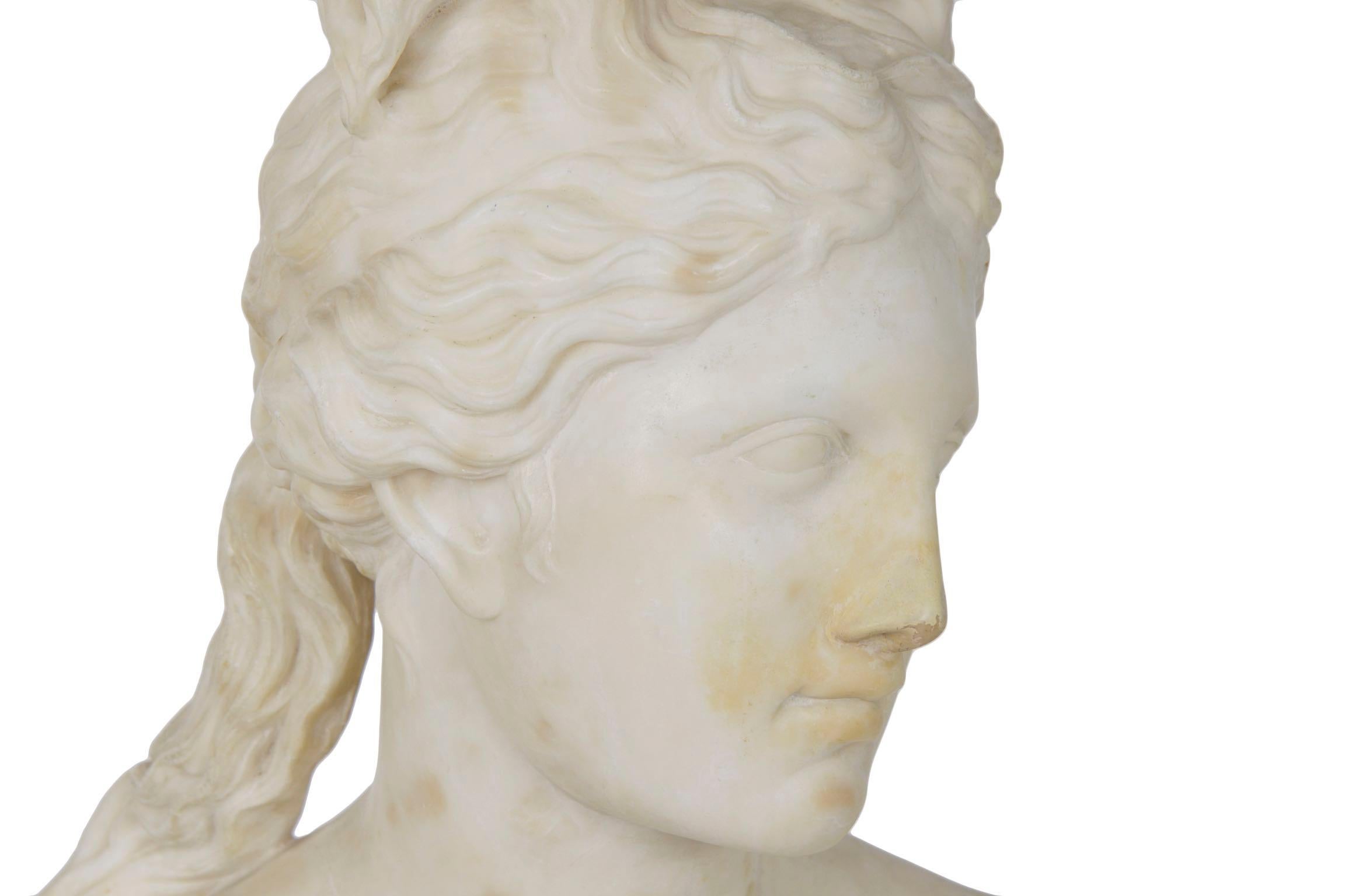 Italian 19th Century Grand Tour Marble Bust of Capitoline Venus 2