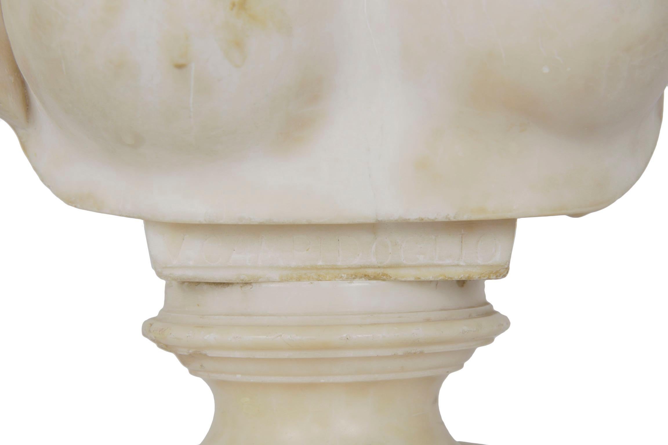 Italian 19th Century Grand Tour Marble Bust of Capitoline Venus 3
