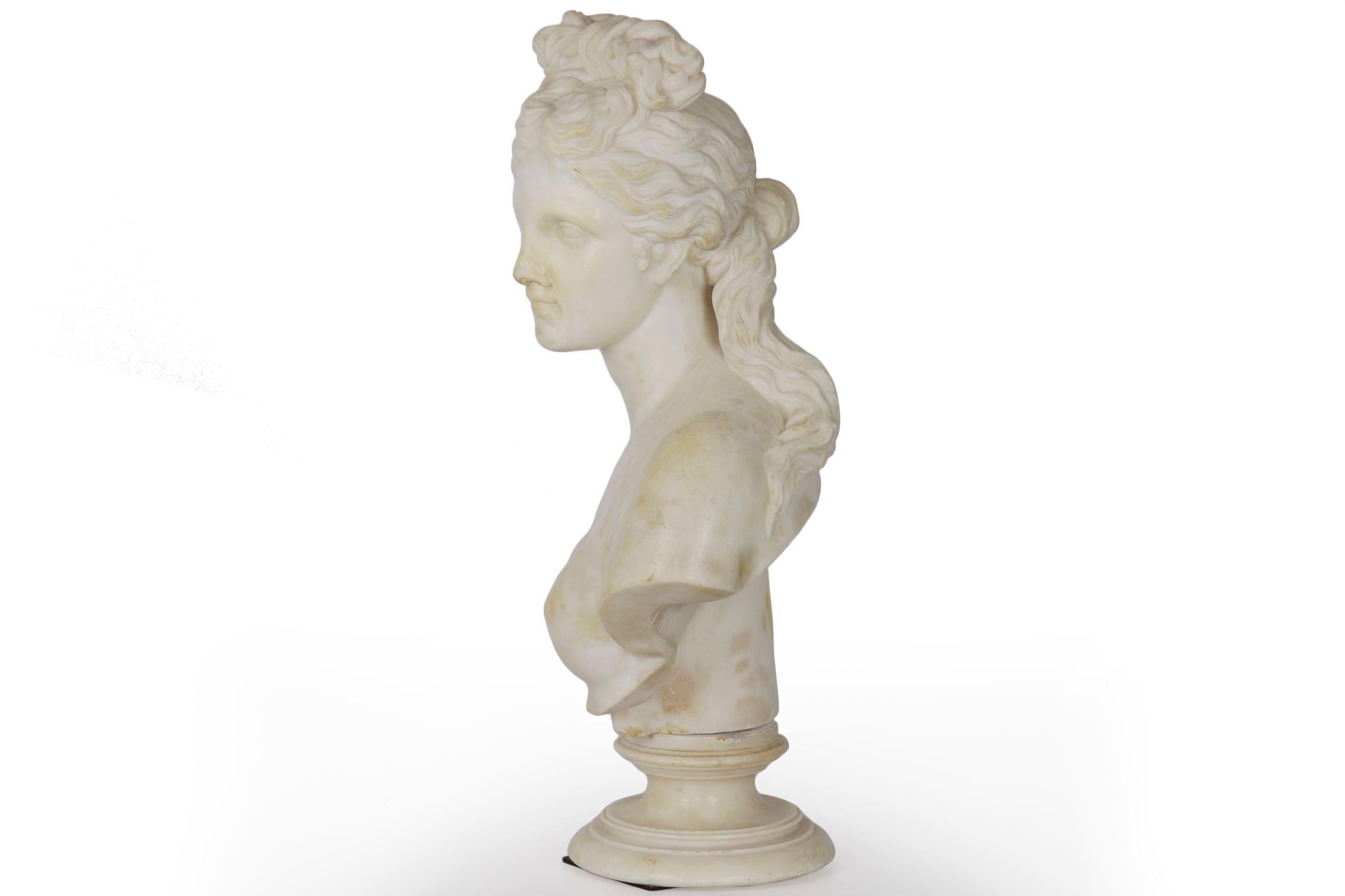 Italian 19th Century Grand Tour Marble Bust of Capitoline Venus 4