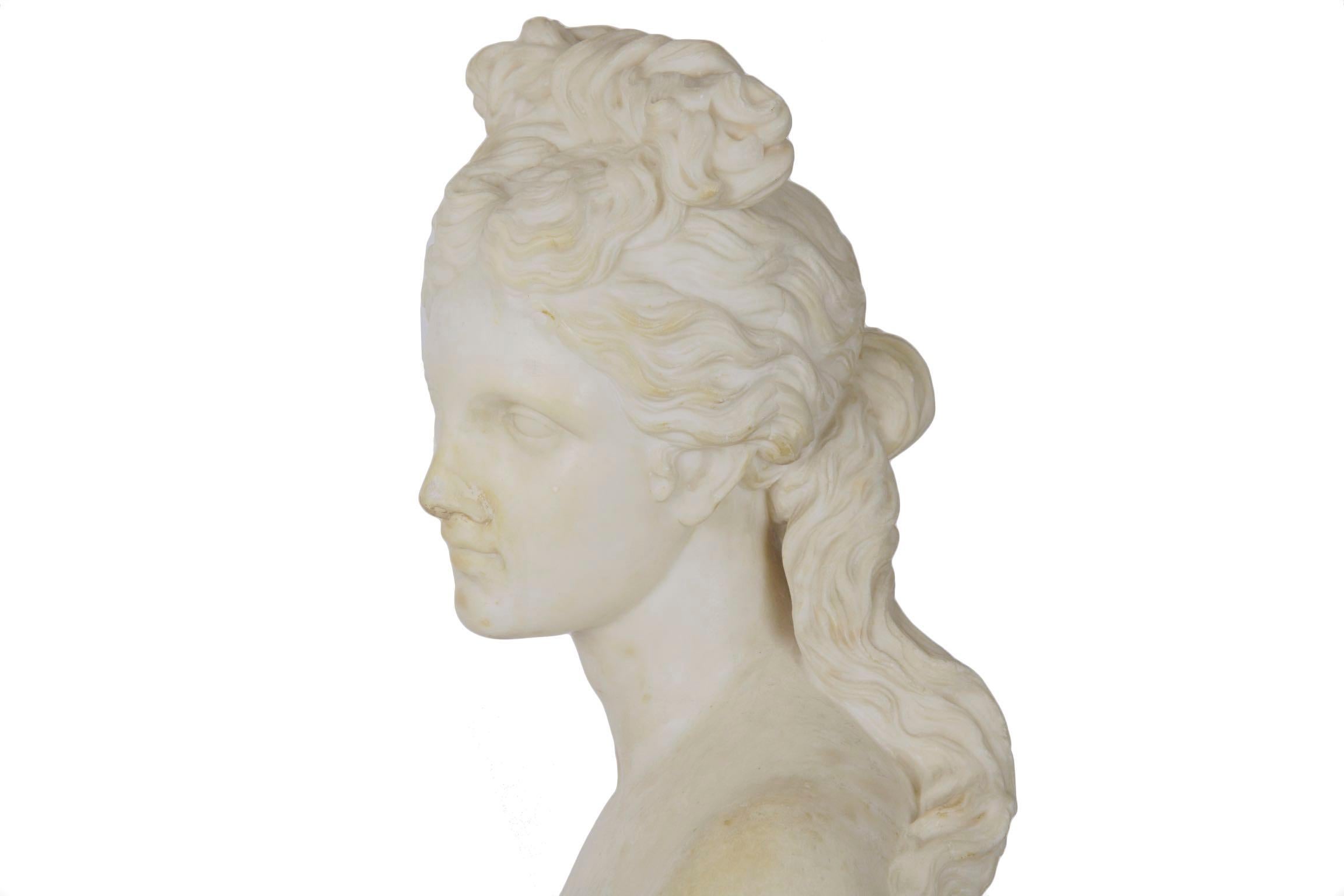 Italian 19th Century Grand Tour Marble Bust of Capitoline Venus 5