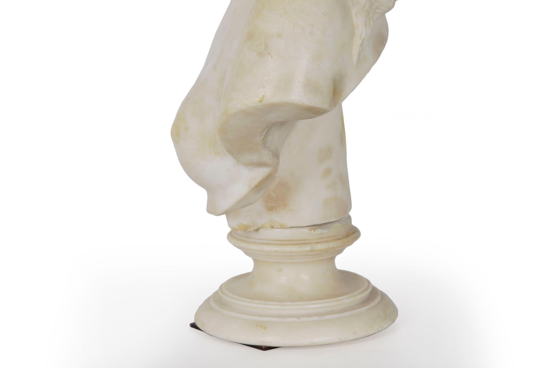 Italian 19th Century Grand Tour Marble Bust of Capitoline Venus 6