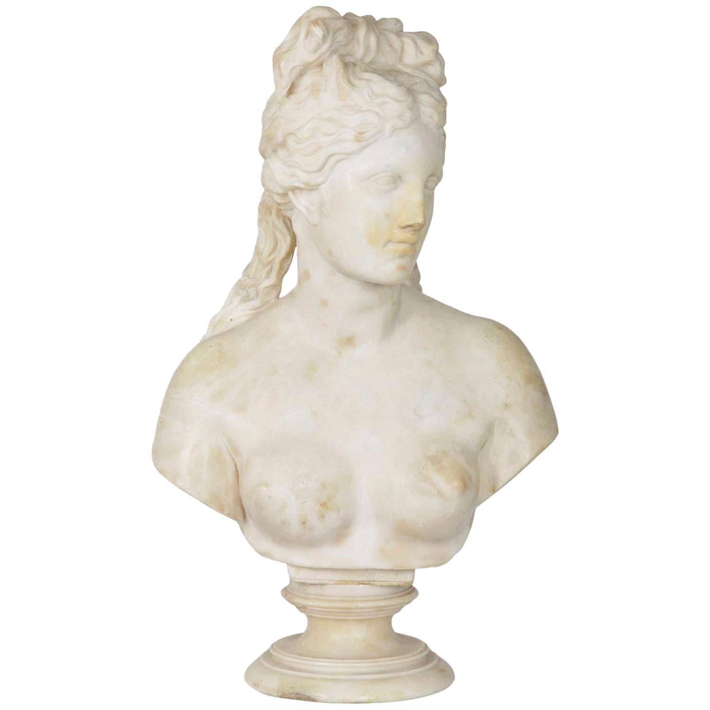Italian 19th Century Grand Tour Marble Bust of Capitoline Venus