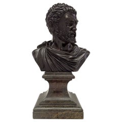 Busto italiano in bronzo patinato e marmo del XIX secolo