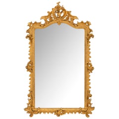 Italian 19th Century Rococo St. Giltwood Mirror