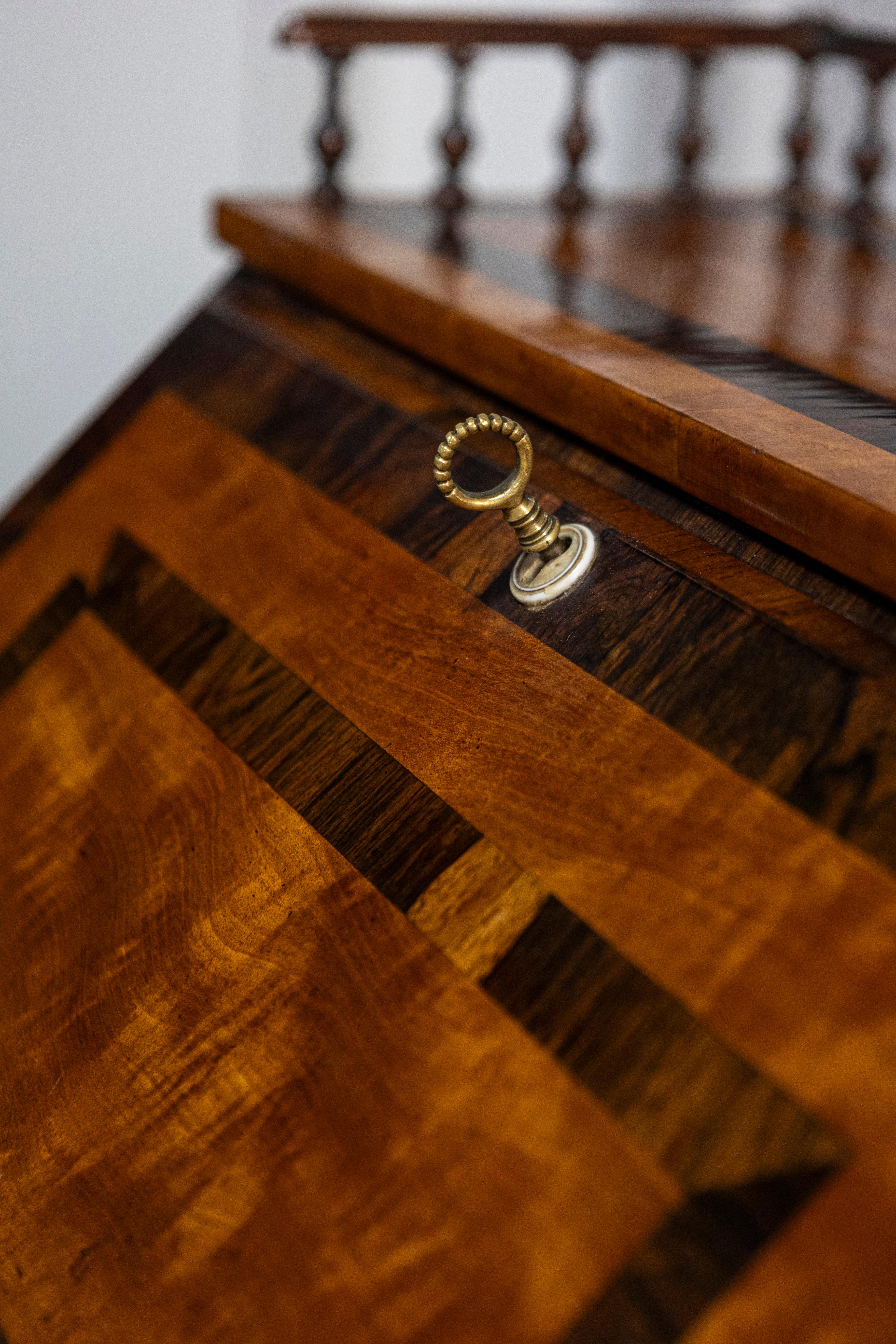 Italian 19th Century Walnut and Mahogany Writing Table with Slant Front Desk For Sale 9