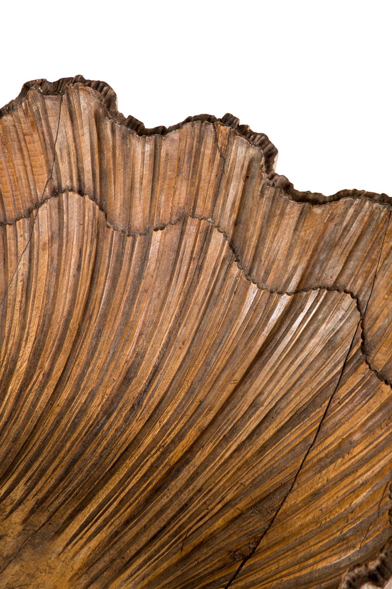 Sgabello a grotta in noce del XIX secolo in vendita 5