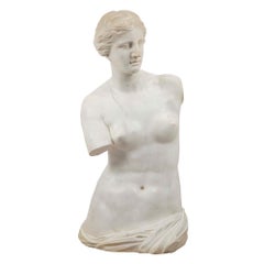 Italian 19th Century White Carrara Marble of Venus De Milo