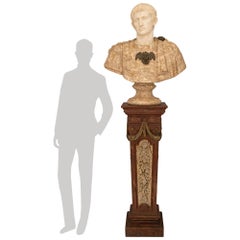 Italian 19th century white Carrara, Sarrancolin marble bust of August Caesar