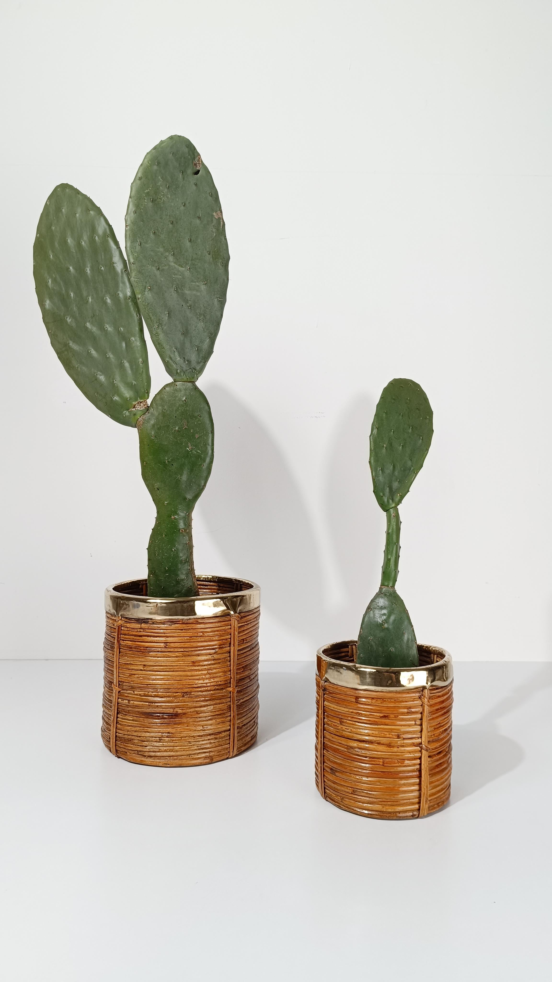 Italian 70s Cachepot Basket in Hand-Woven Pencil Reed Rattan & Brass siglo XX en venta