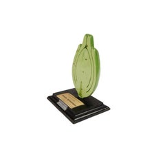 Modello botanico antico italiano dei primi del '900 in gesso su base di legno