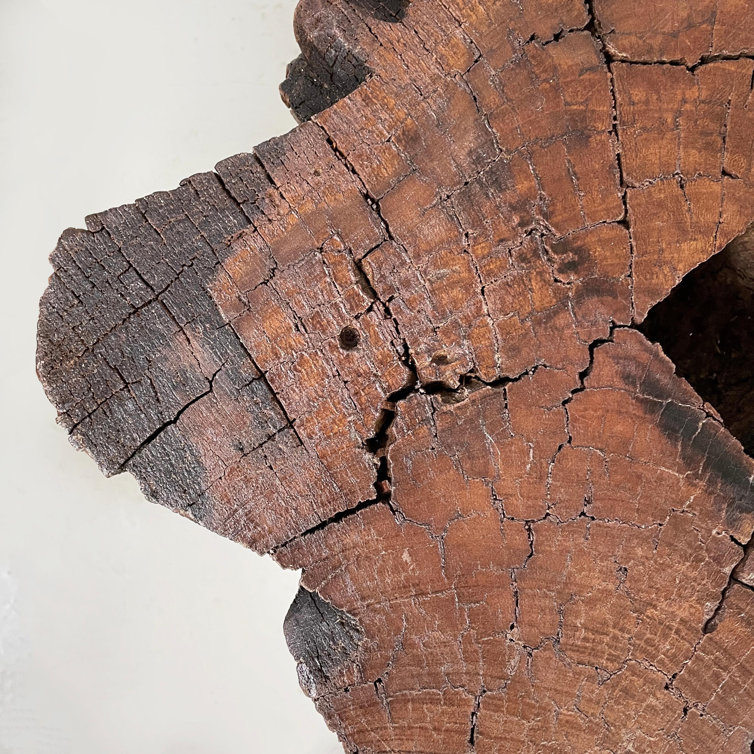 Antike italienische antike Kapitelle aus graviertem Holz mit Granatapfel und menschlichem Gesicht, 1600er Jahre im Angebot 10