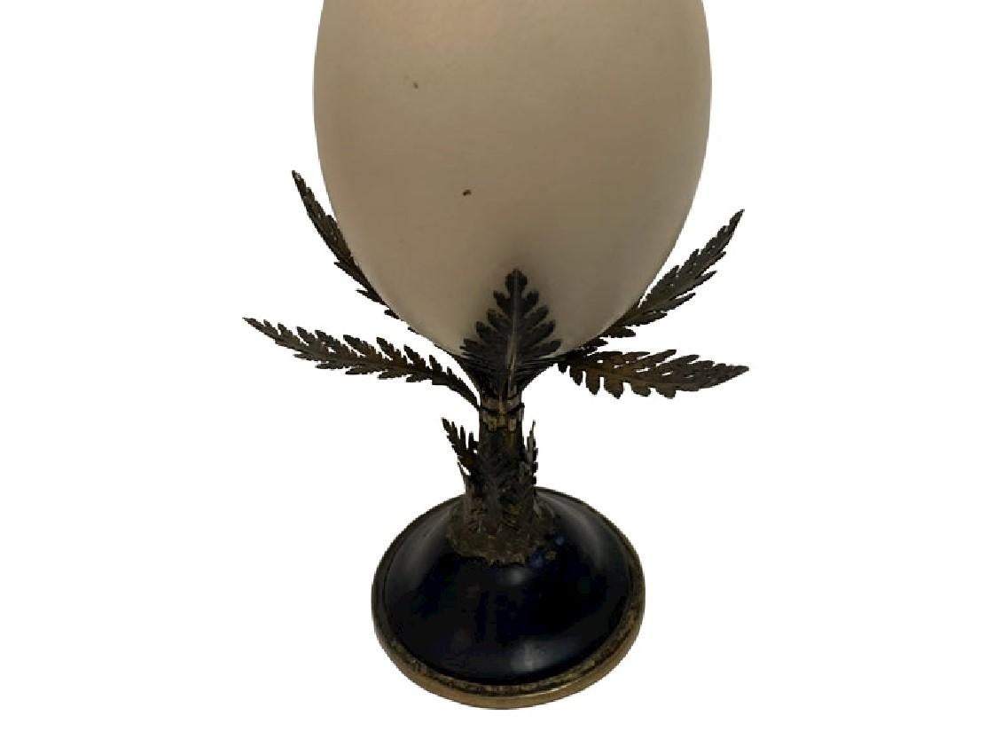 ostrich egg for sale
