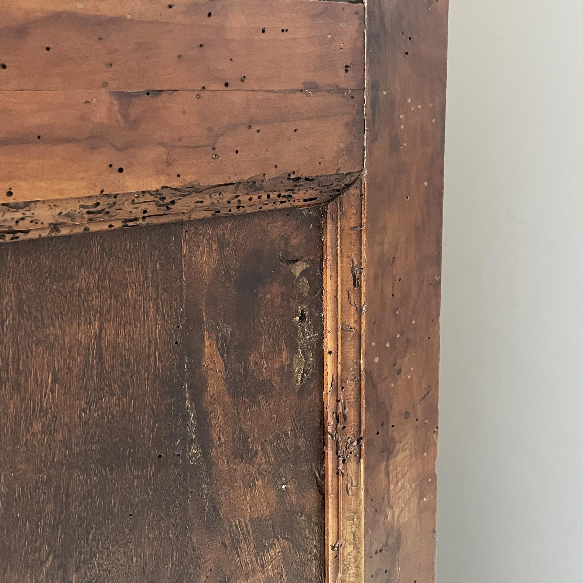 Italian antique wooden wardrobe with decorated doors, 1800s in vendita 14