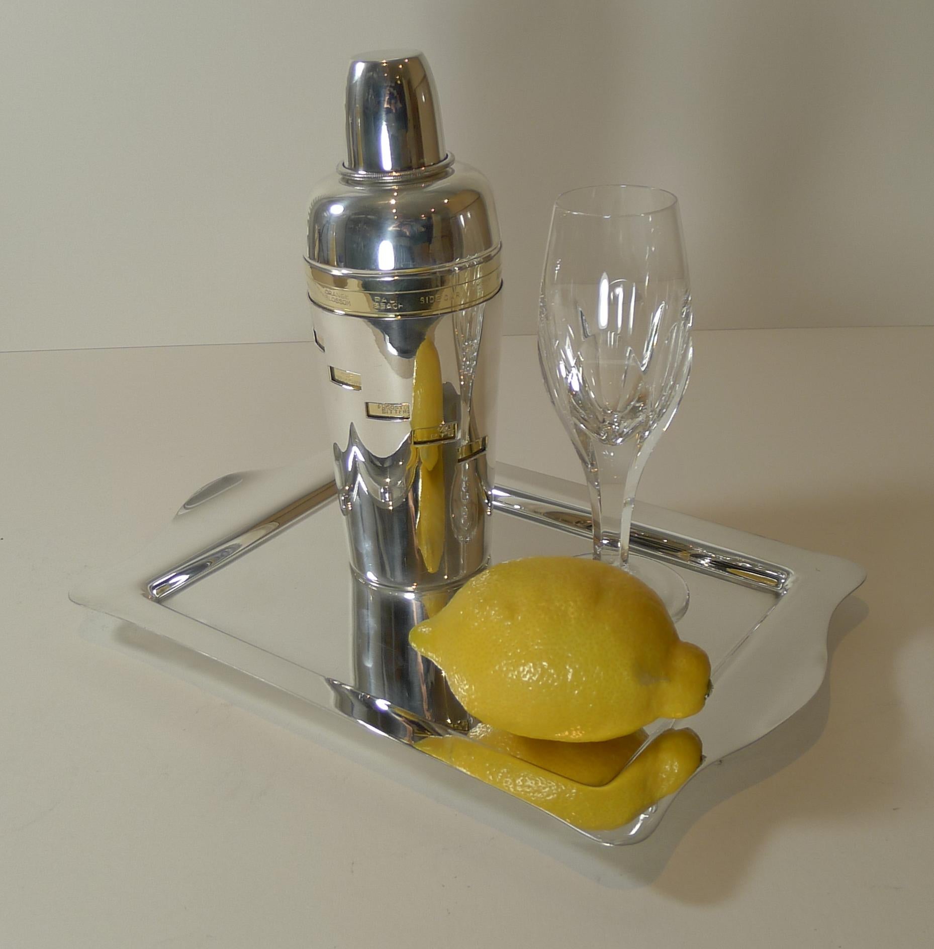 Italian Art Deco Silver & Gold Plated Menu Cocktail Shaker 10