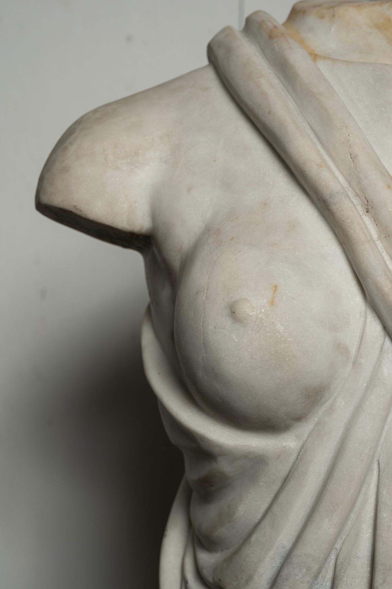 Bronze Italian Artemis Marble Torso For Sale