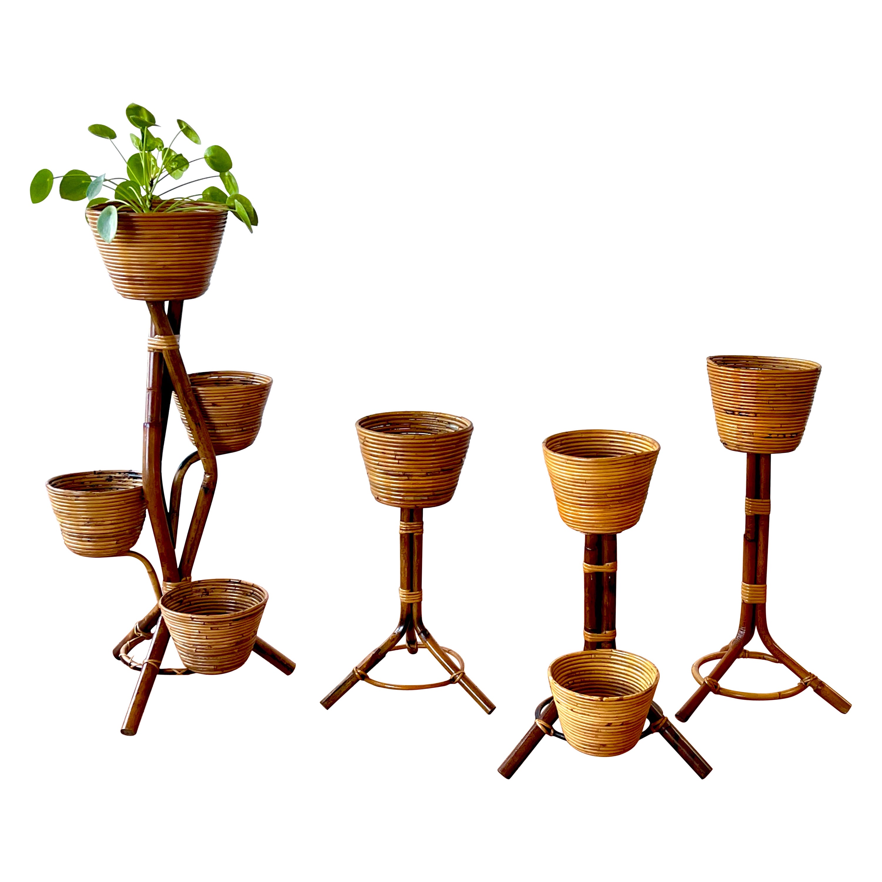 Italian Bamboo Plant Stands