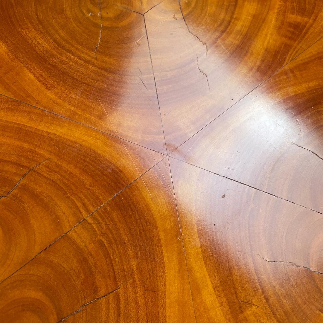 Italienische runde Holzsockel oder -säulen im Biedermeier-Stil, frühe 1800er Jahre im Angebot 4