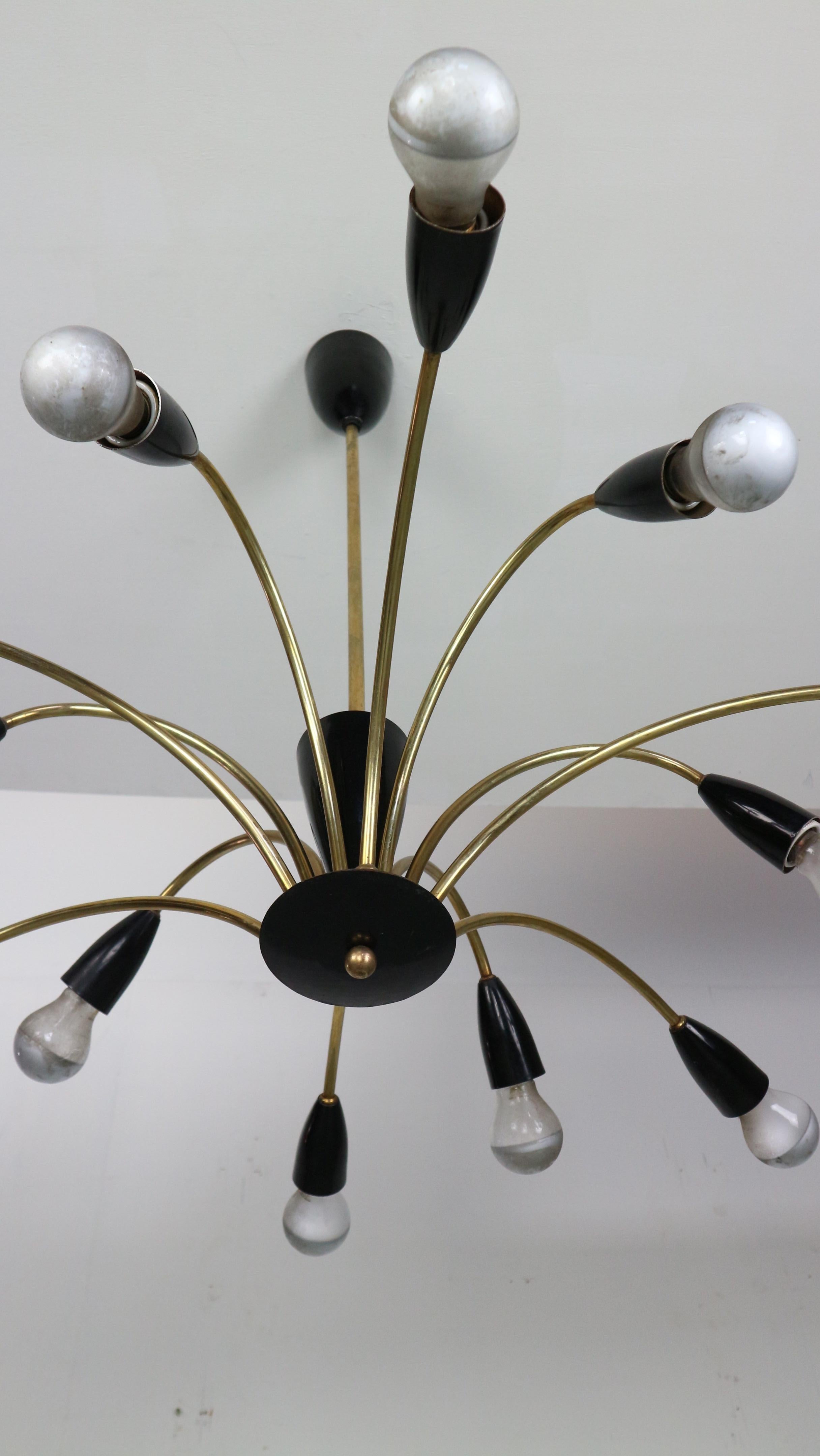 Italian Black and brass 12 arm Spider Chandelier  1950s For Sale 12