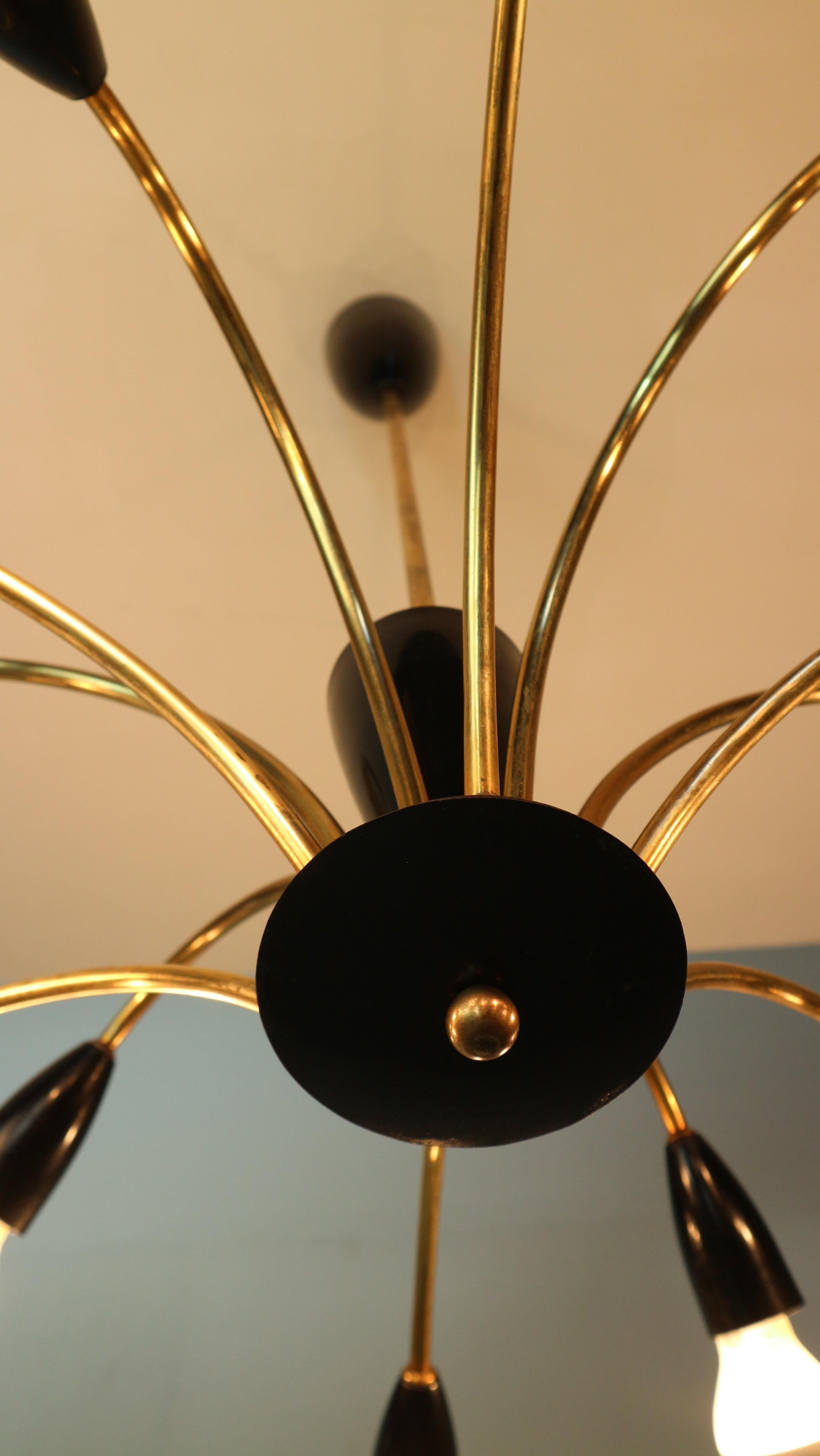 Italian Black and brass 12 arm Spider Chandelier  1950s For Sale 3