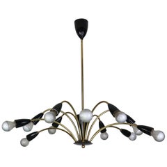 Italian Black and brass 12 arm Spider Chandelier  1950s