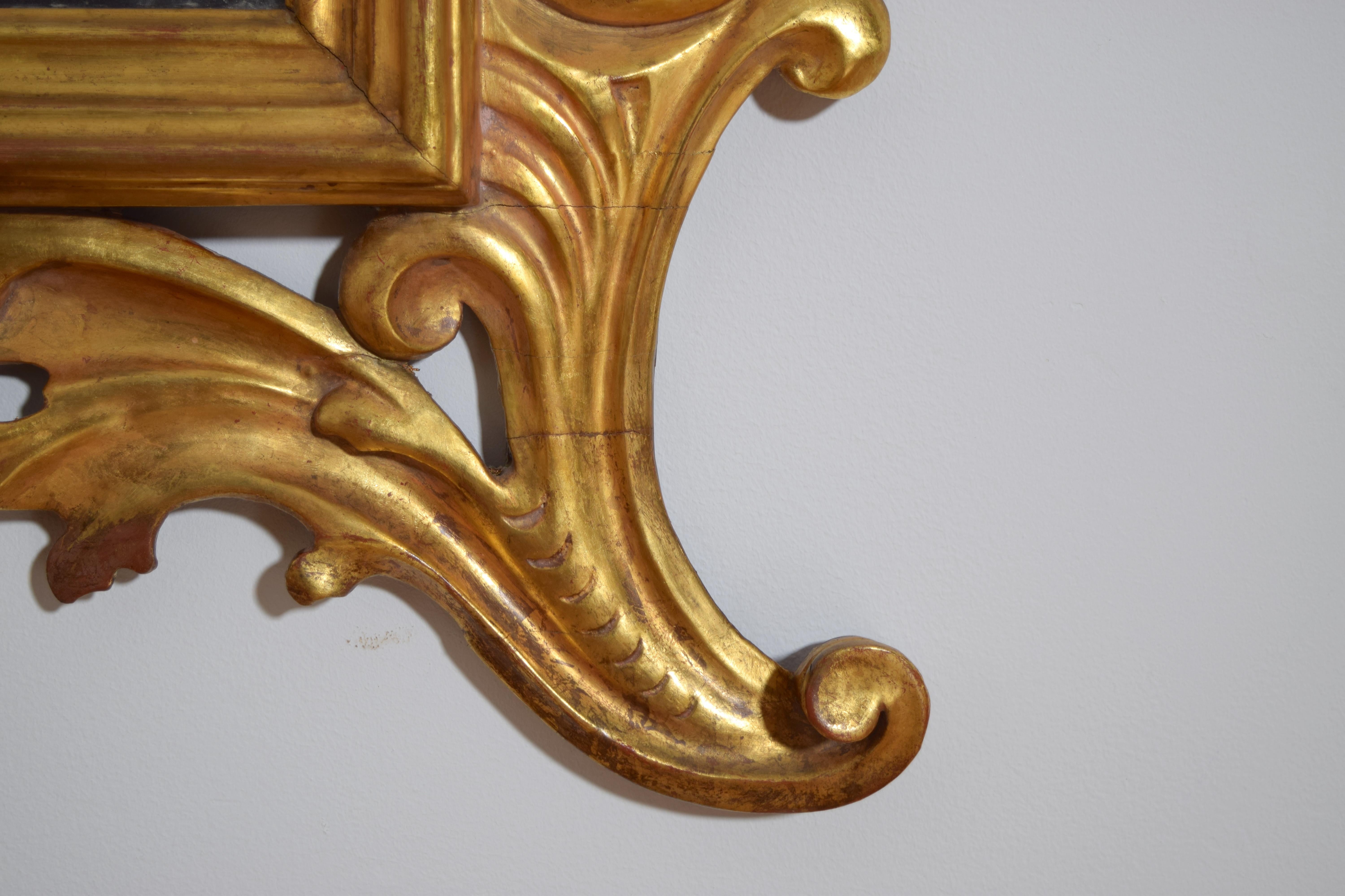 Miroir italien, Bologne, d'époque rococo, en bois doré sculpté de coquillages, milieu du 18e siècle en vente 4