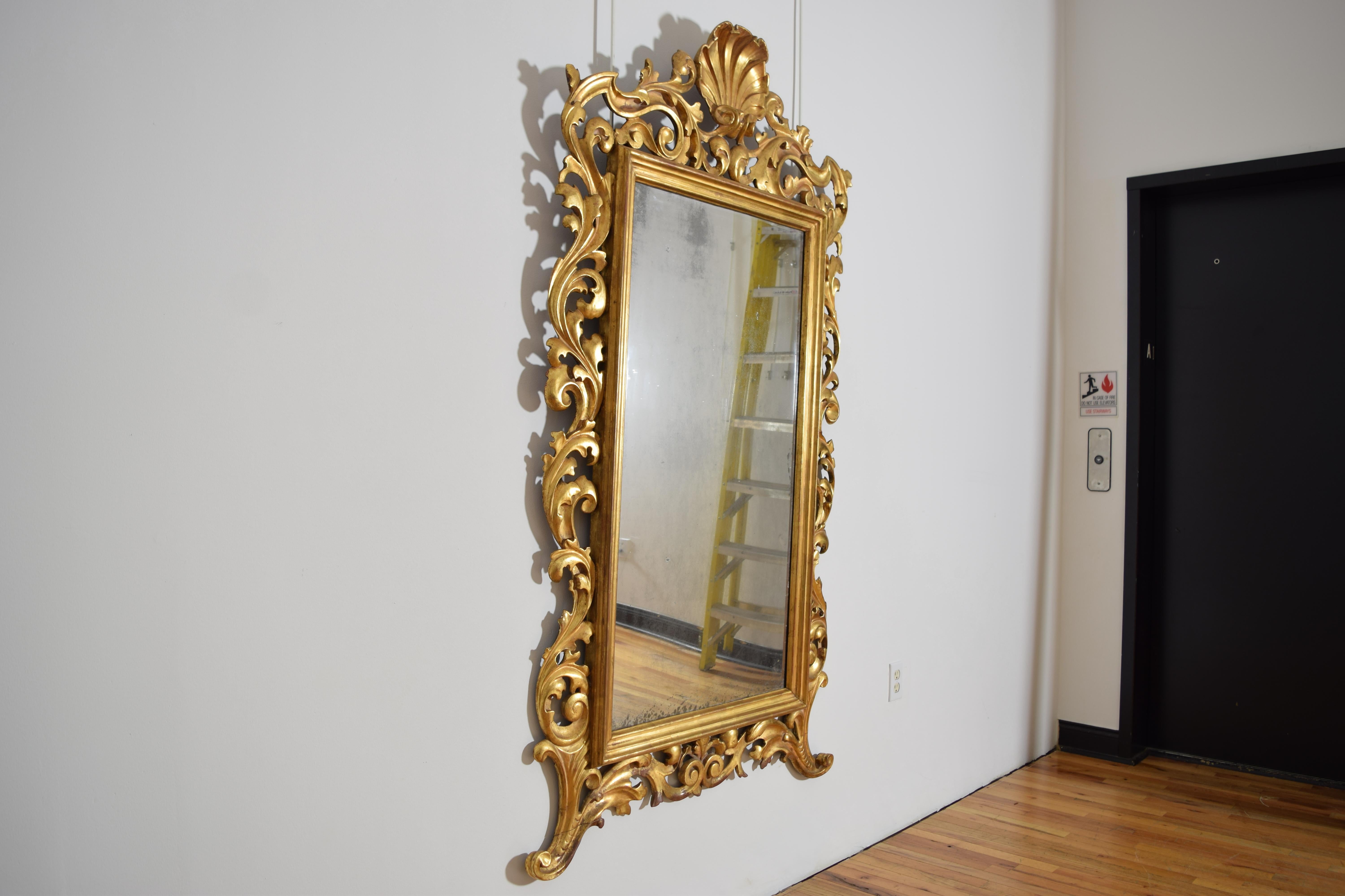 Rococo Miroir italien, Bologne, d'époque rococo, en bois doré sculpté de coquillages, milieu du 18e siècle en vente