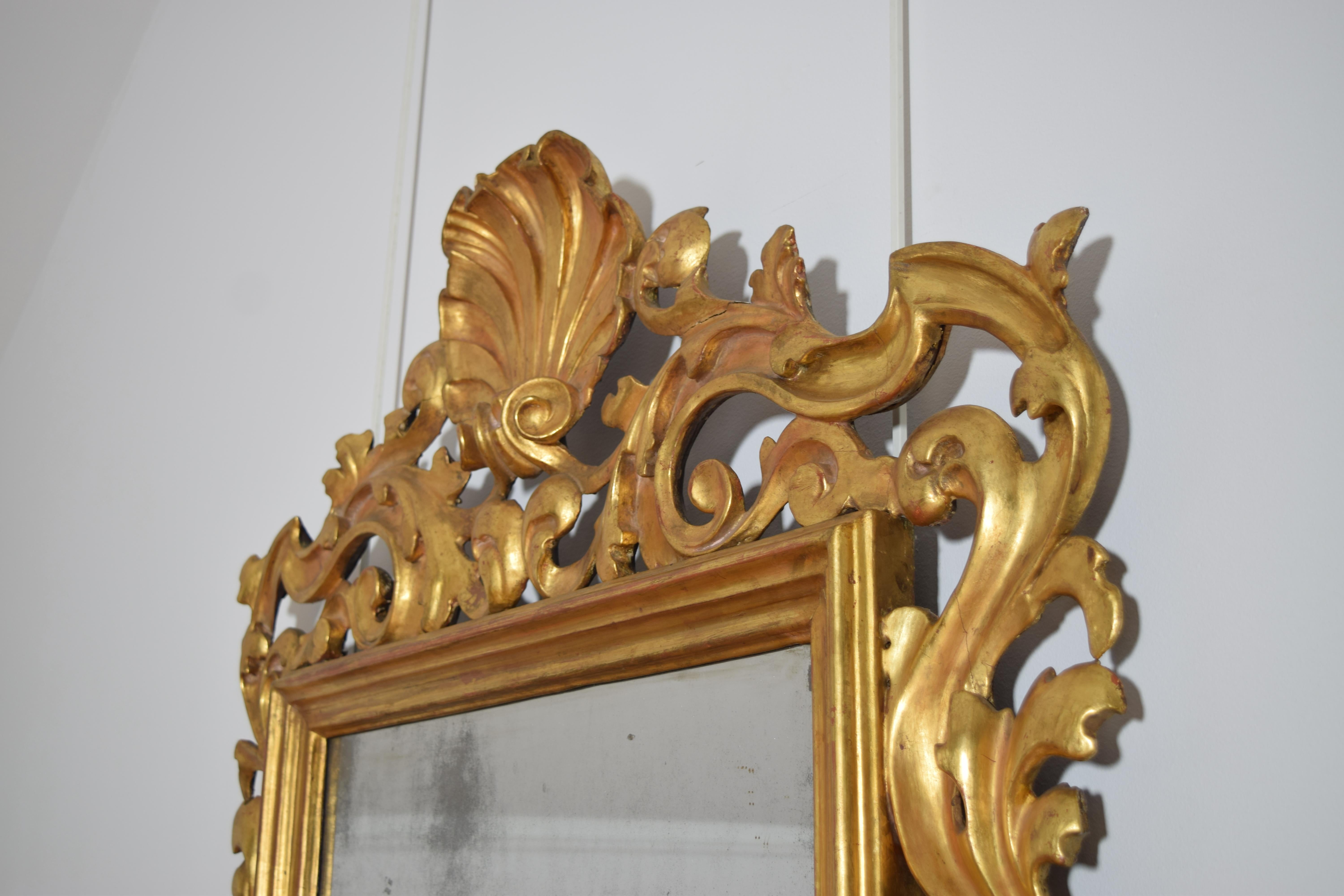 Miroir italien, Bologne, d'époque rococo, en bois doré sculpté de coquillages, milieu du 18e siècle Bon état - En vente à Atlanta, GA