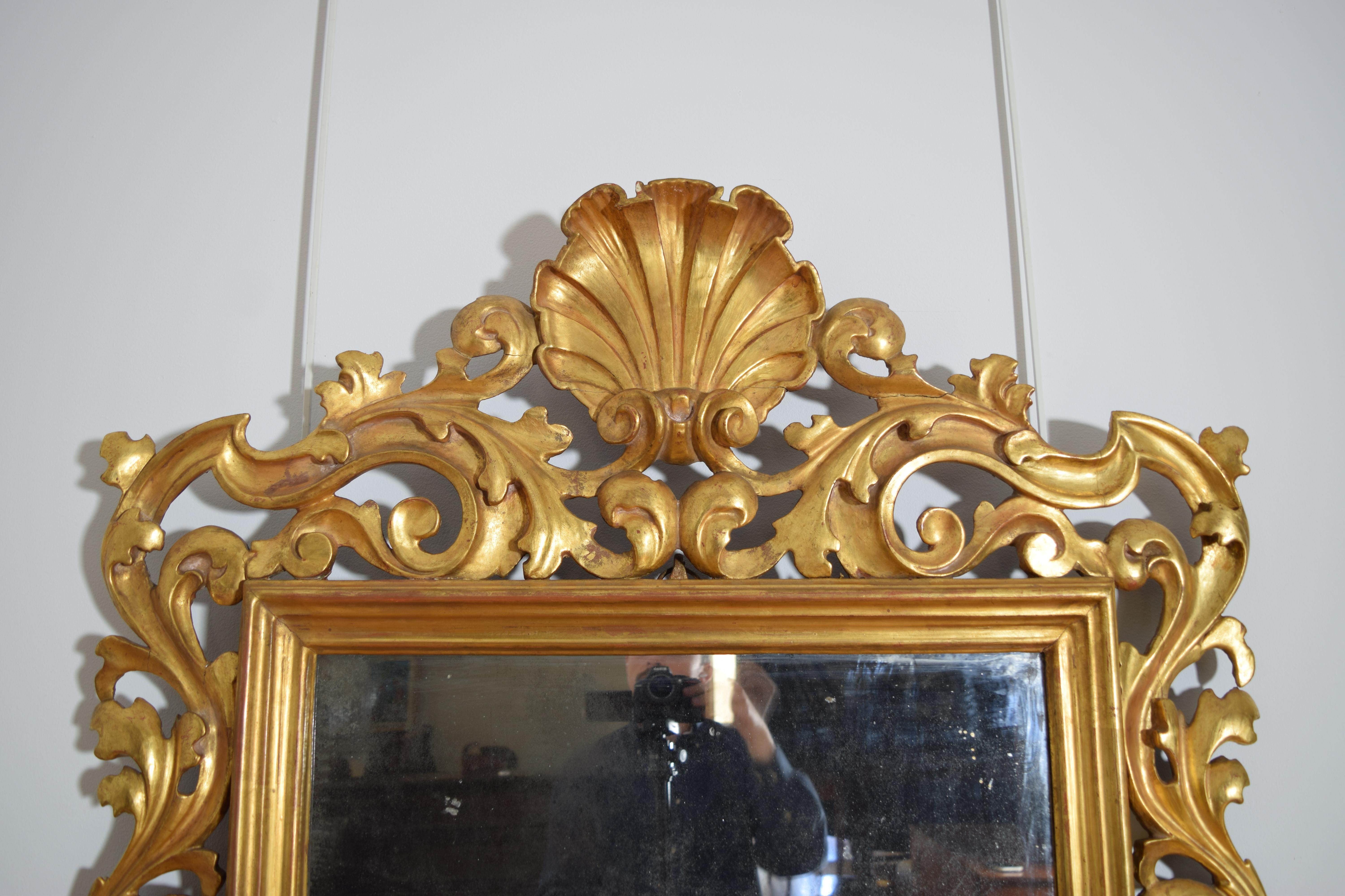XVIIIe siècle Miroir italien, Bologne, d'époque rococo, en bois doré sculpté de coquillages, milieu du 18e siècle en vente