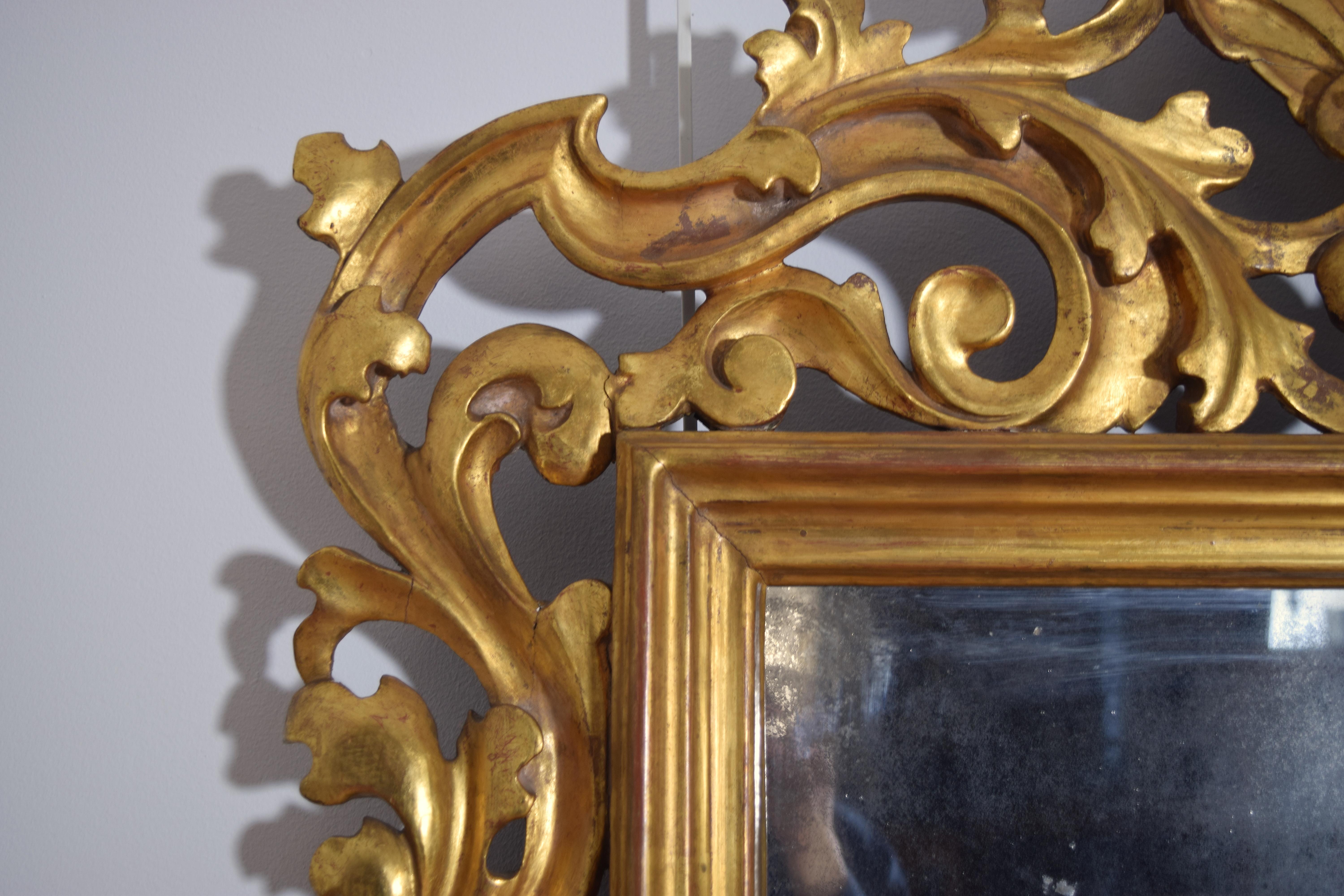 Bois doré Miroir italien, Bologne, d'époque rococo, en bois doré sculpté de coquillages, milieu du 18e siècle en vente