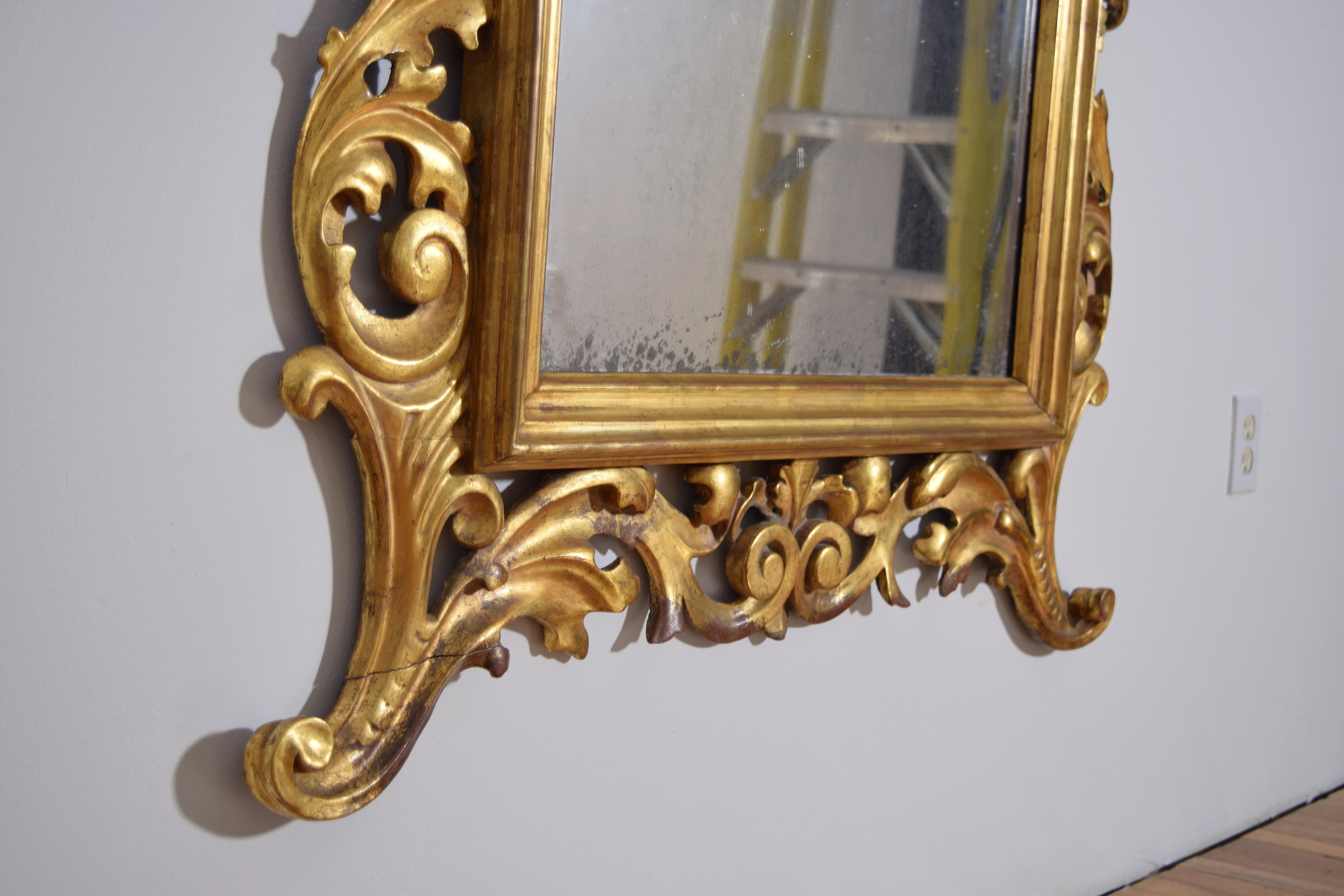 Miroir italien, Bologne, d'époque rococo, en bois doré sculpté de coquillages, milieu du 18e siècle en vente 2