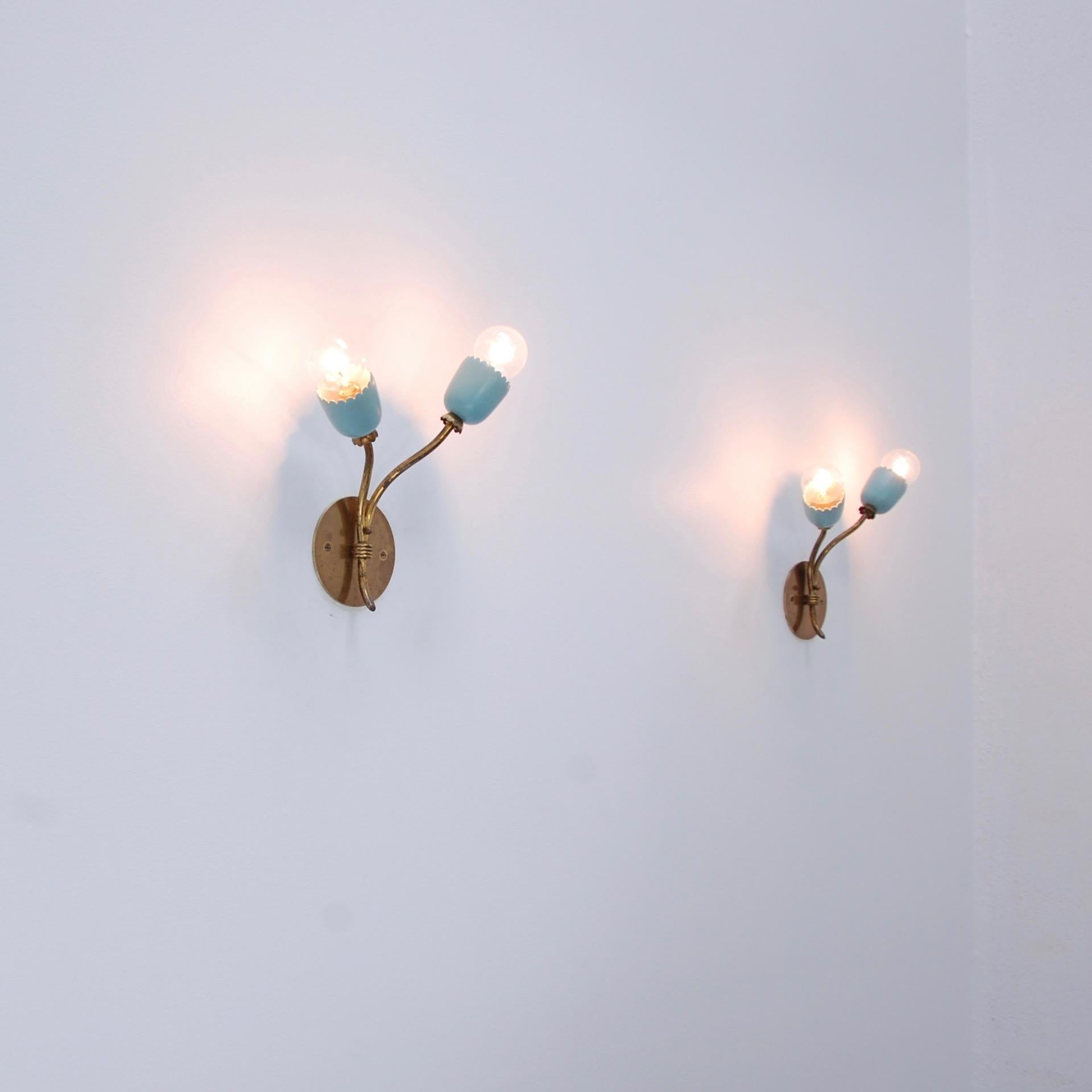 Italian Botanical Sconces 3