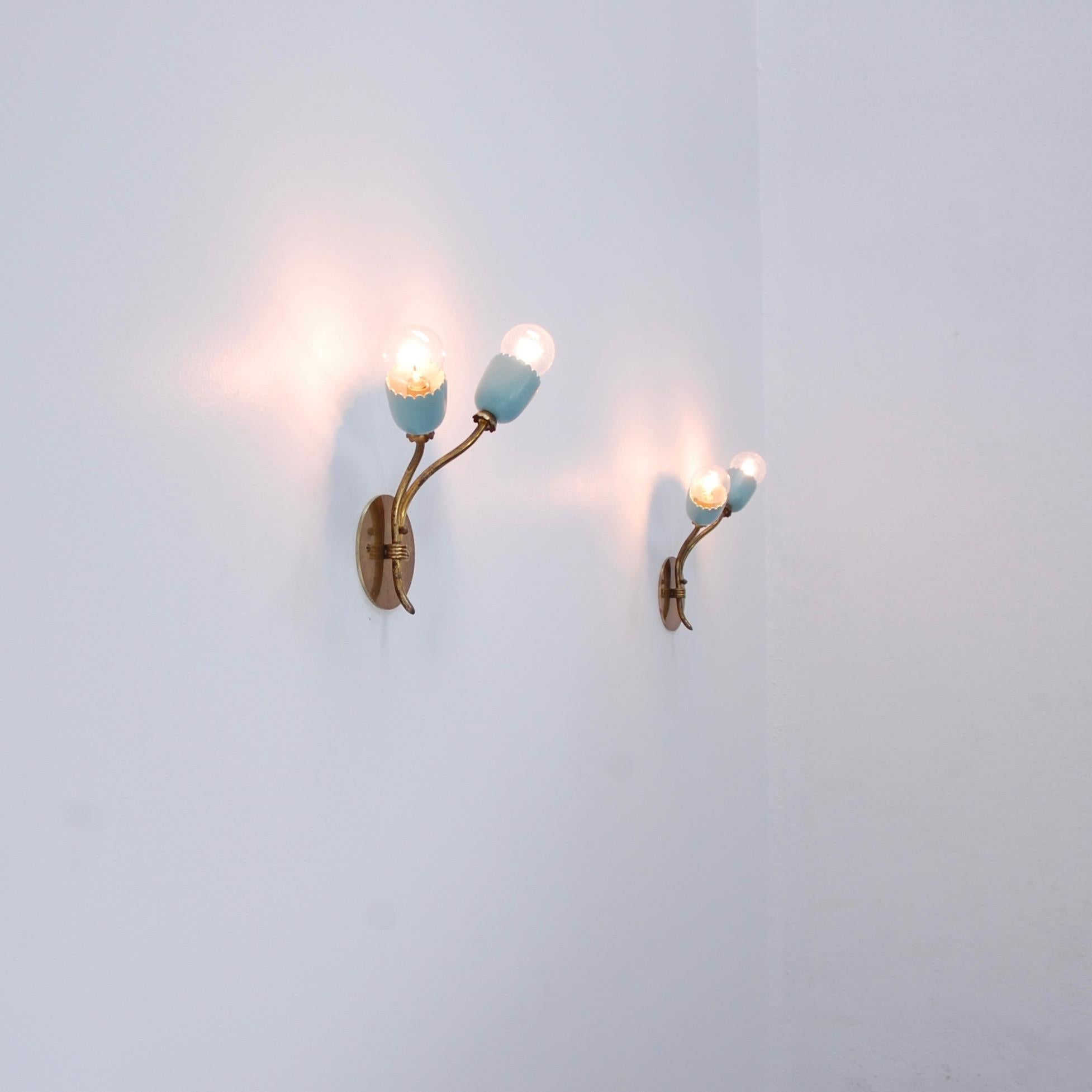 Italian Botanical Sconces 4