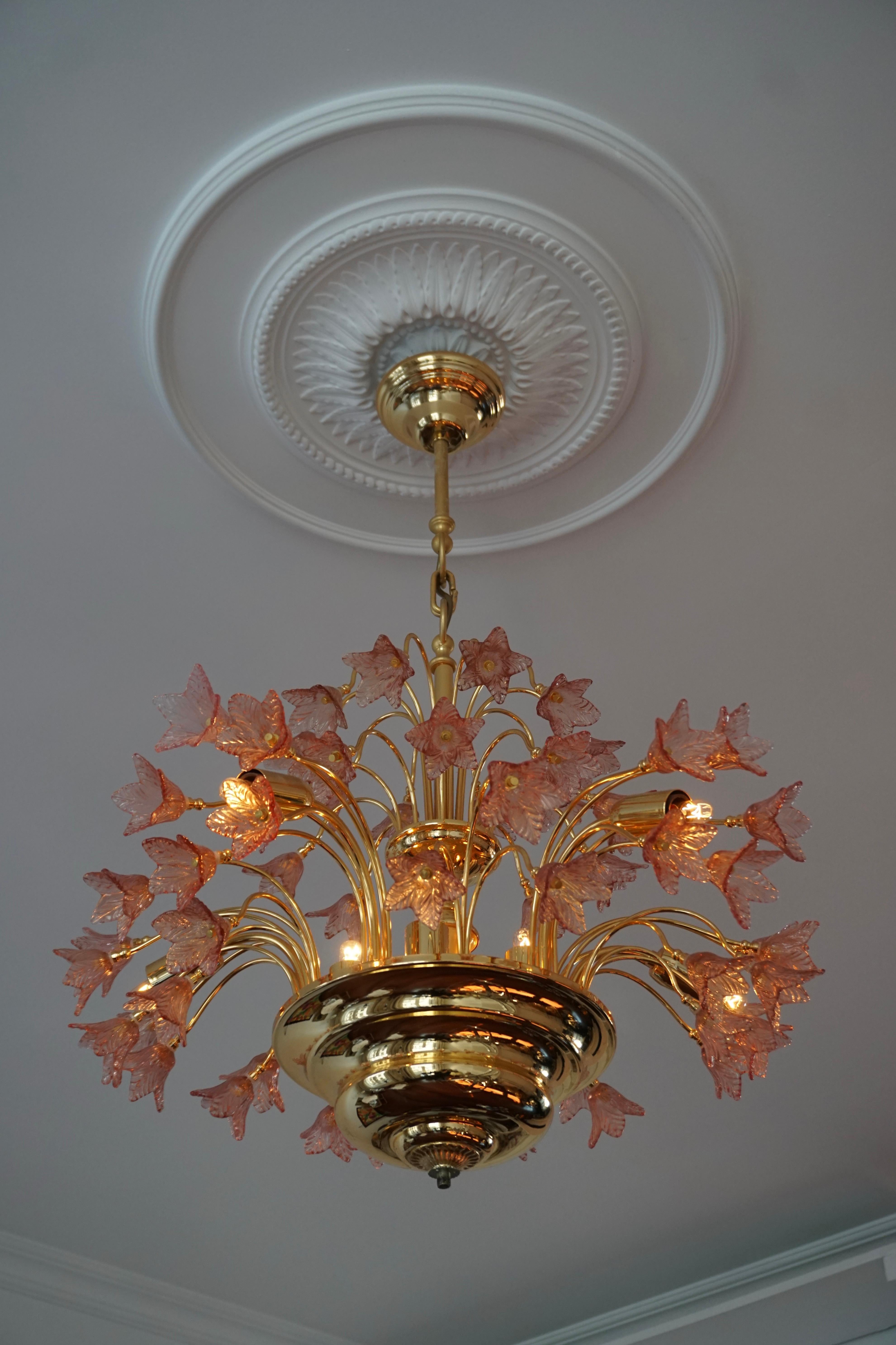 Elegant Italian brass and pink Murano glass chandelier.

The light requires 12 single E14 screw fit lightbulbs (40 Watt max.) LED compatible.

Measures: Diameter 60 cm.
Height fixture 53 cm.
Total height 80 cm.
  