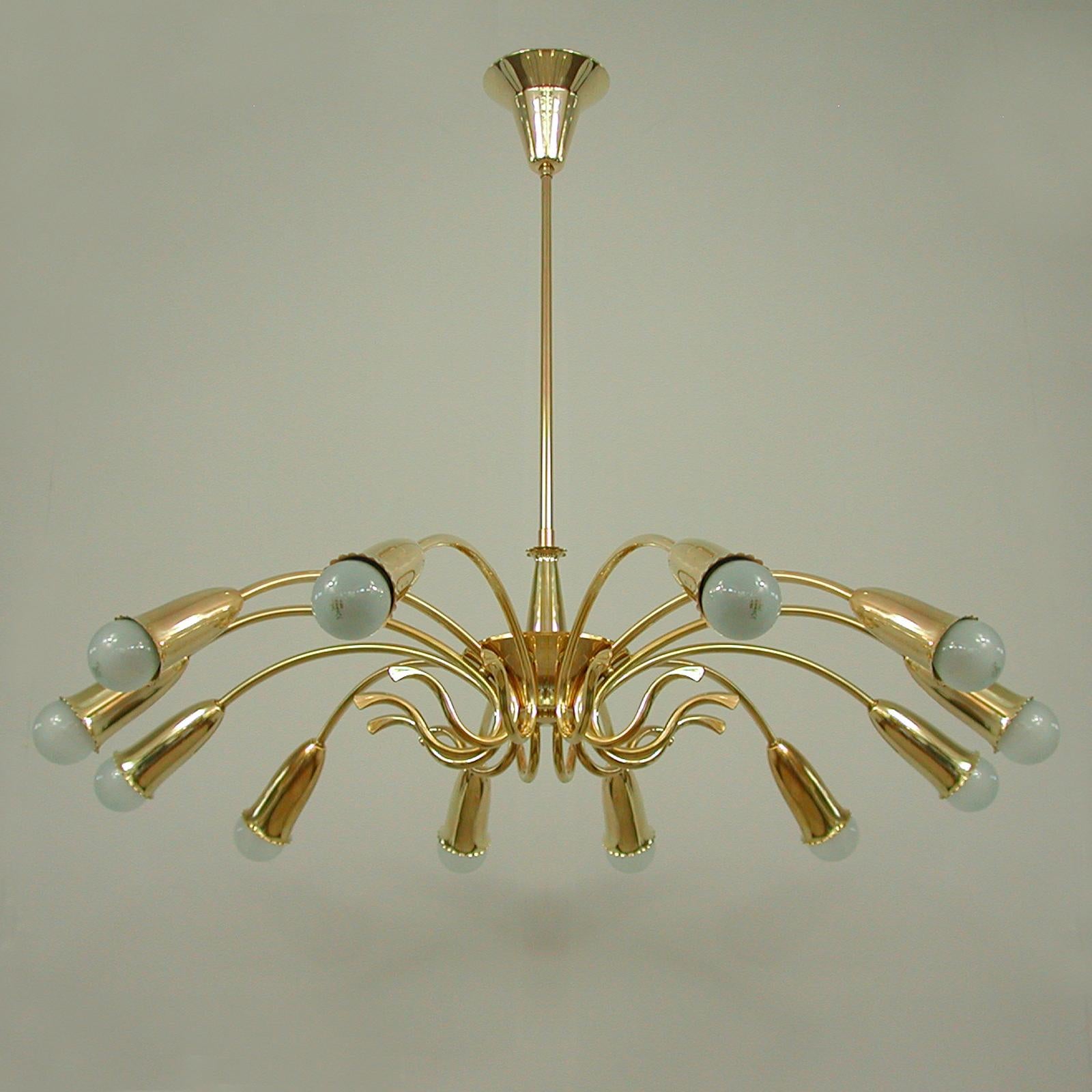 This stunning large botanical chandelier was designed and manufactured in Italy in the 1950s. It features a brass body with 12 brass lamp arms and botanical shaped bulb holders. Wired for use in US and any other country of the world. The light