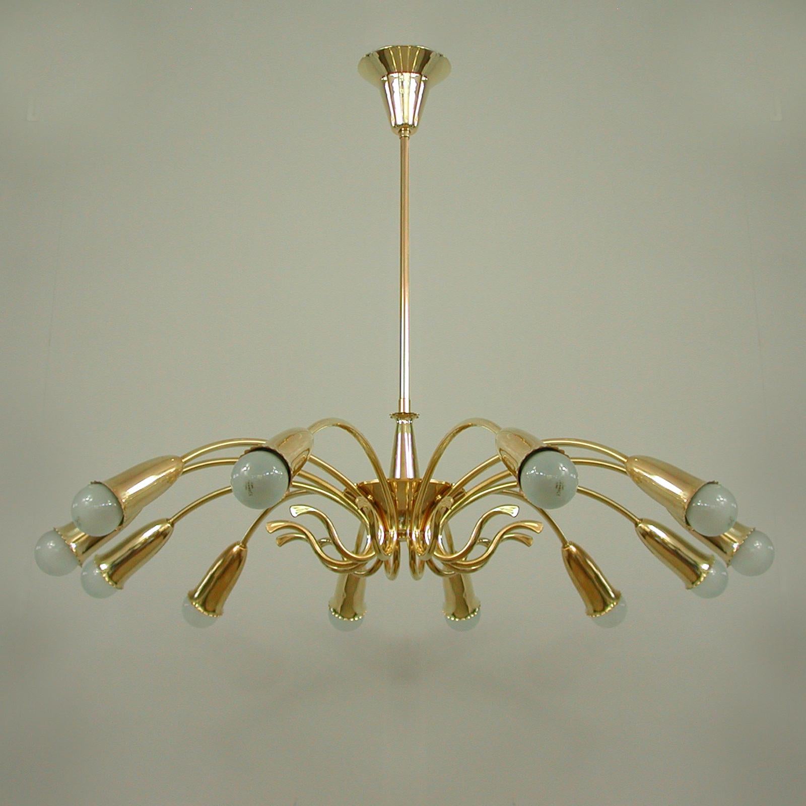 Mid-Century Modern Italian Brass Botanical 12 Light Chandelier, 1950s