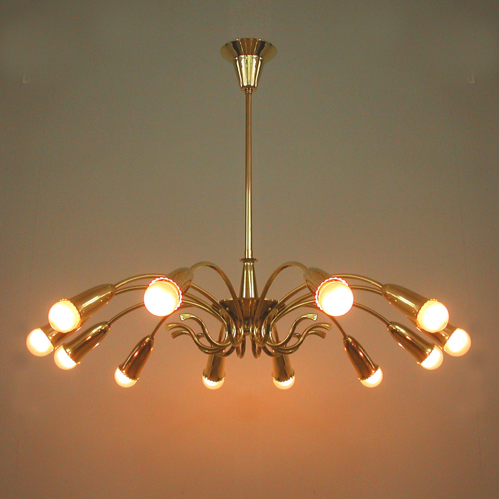Italian Brass Botanical 12 Light Chandelier, 1950s In Good Condition In NUEMBRECHT, NRW