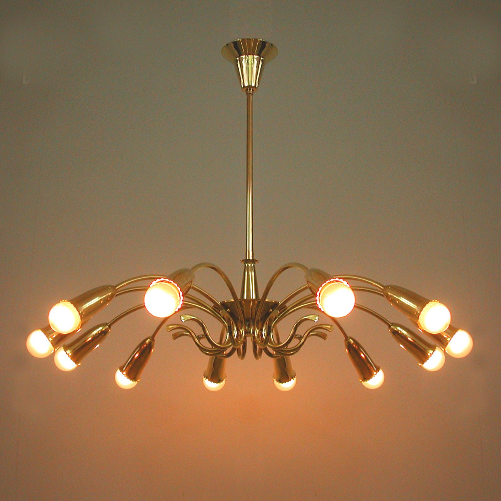 Italian Brass Botanical 12 Light Chandelier, 1950s In Good Condition In NUEMBRECHT, NRW