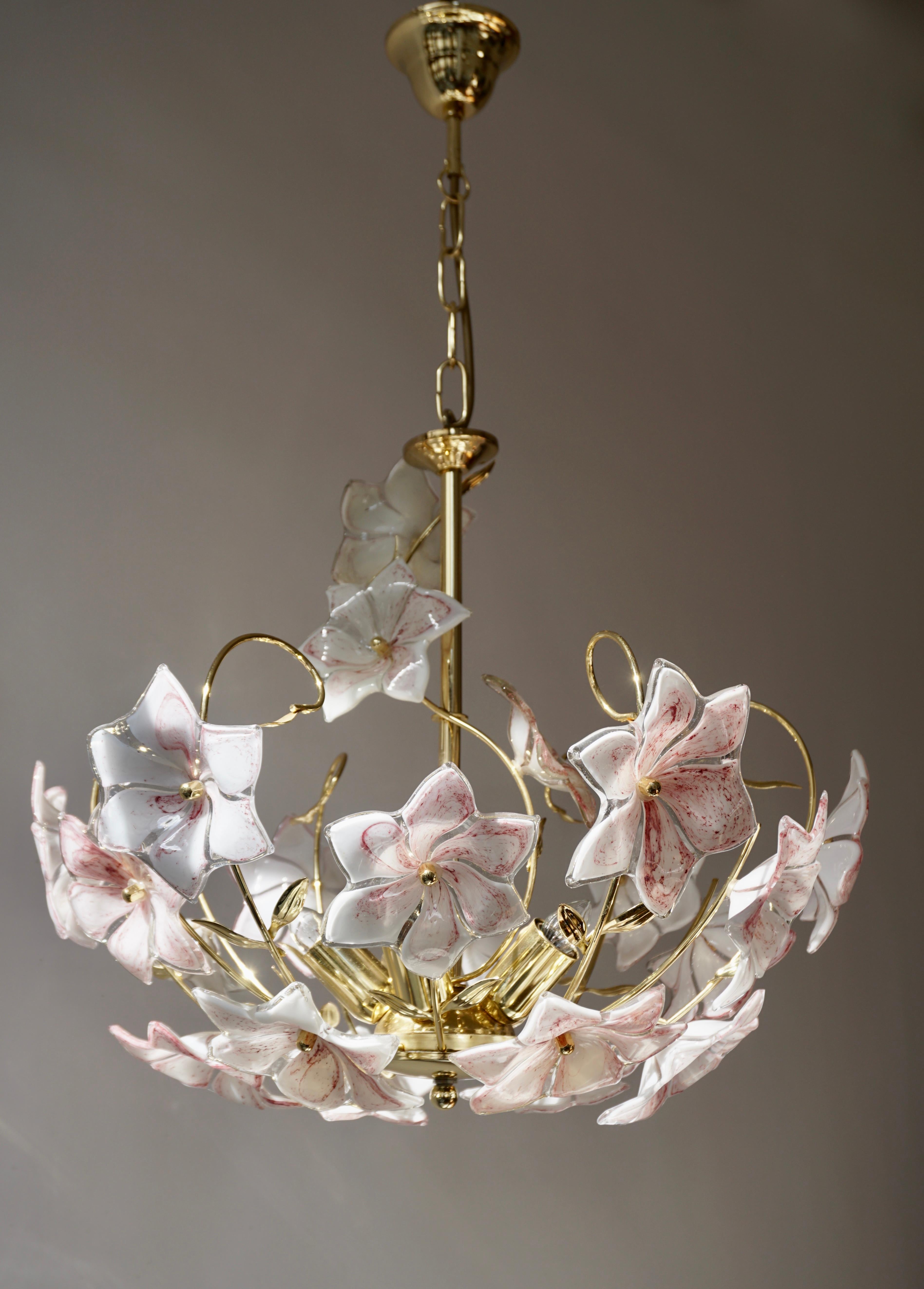 Italian brass chandelier whit white pink Murano colored glass flowers. 
The light requires five single E14 screw fit lightbulbs (40Watt max.)
Diameter 50 cm.
Height fixture 44 cm.
The total height is 65 cm with the chain. (Can be shortened).
  