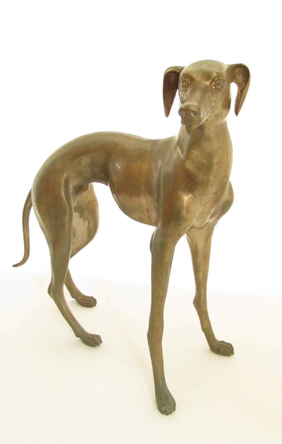 Italian Bronze Greyhounds 1