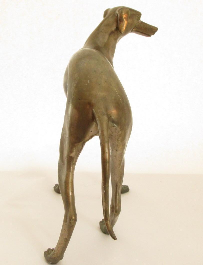 Italian Bronze Greyhounds 2